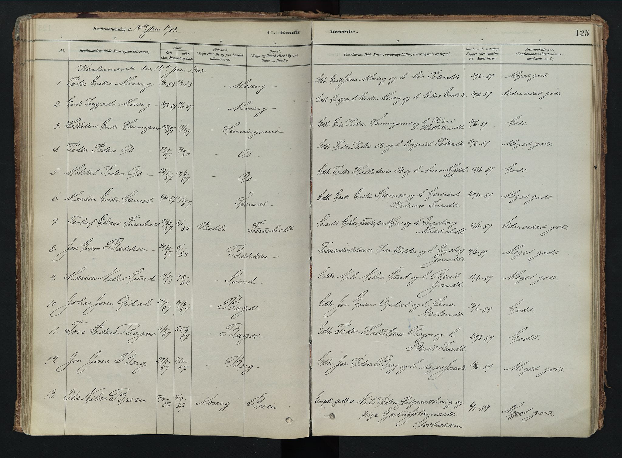 Tolga prestekontor, AV/SAH-PREST-062/K/L0008: Parish register (official) no. 8, 1877-1910, p. 125