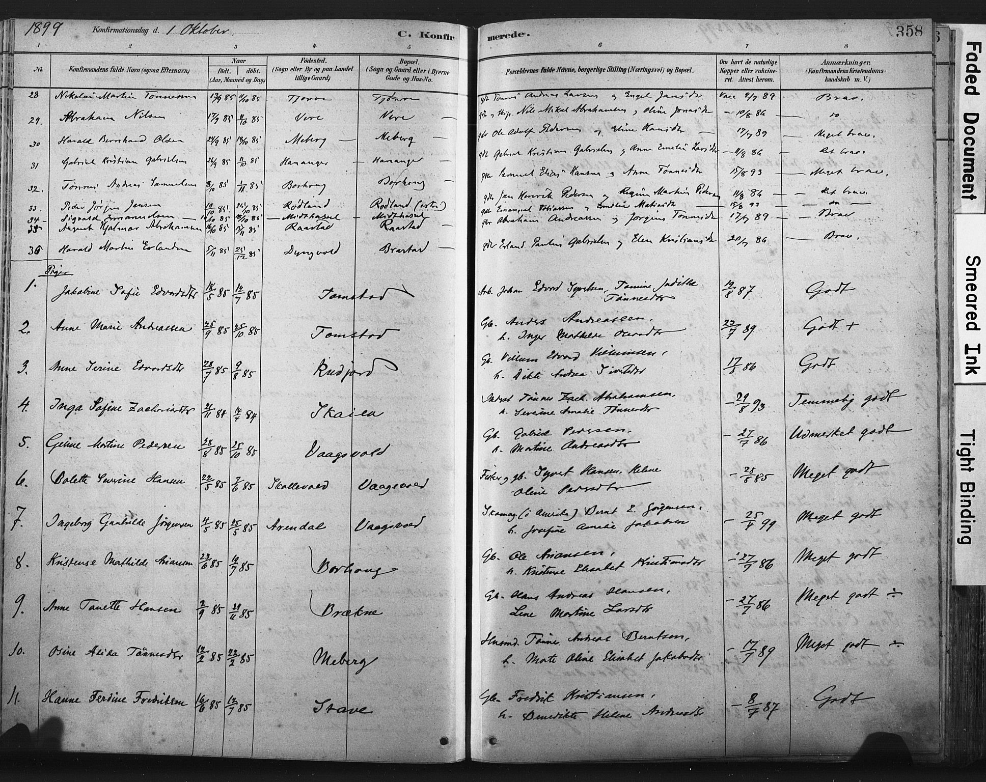 Lista sokneprestkontor, AV/SAK-1111-0027/F/Fa/L0012: Parish register (official) no. A 12, 1879-1903, p. 358