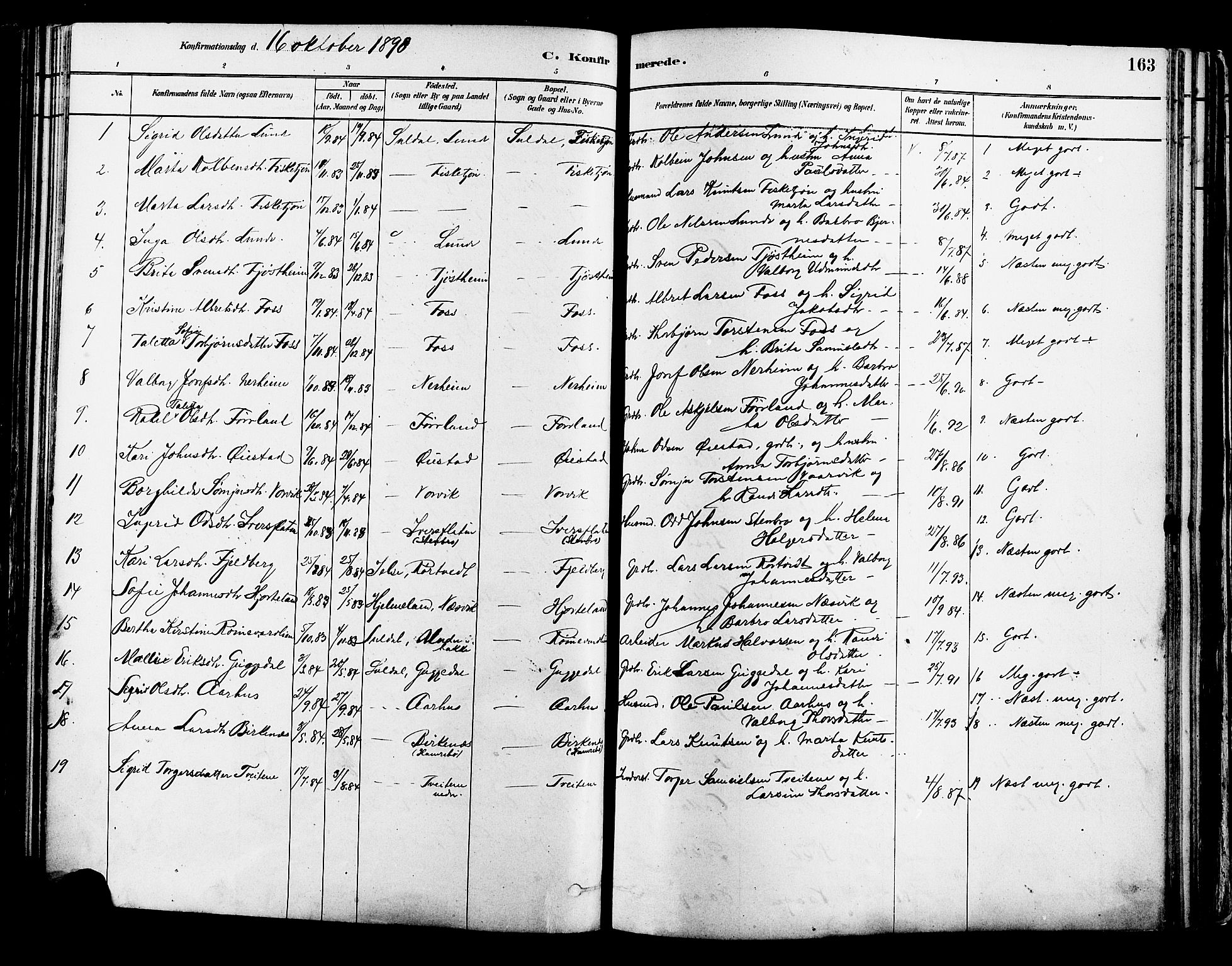 Suldal sokneprestkontor, AV/SAST-A-101845/01/IV/L0011: Parish register (official) no. A 11, 1878-1900, p. 163