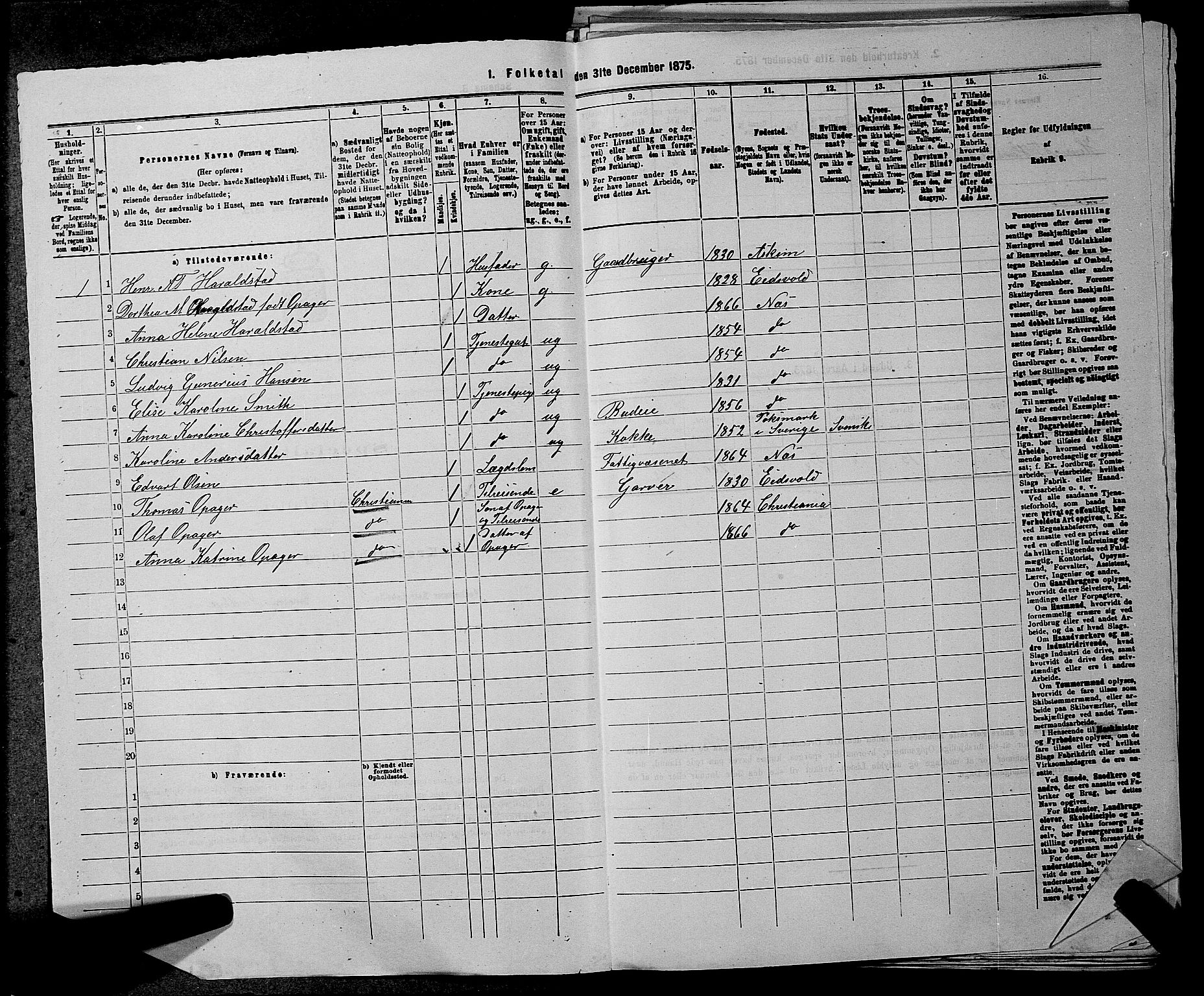 RA, 1875 census for 0236P Nes, 1875, p. 496