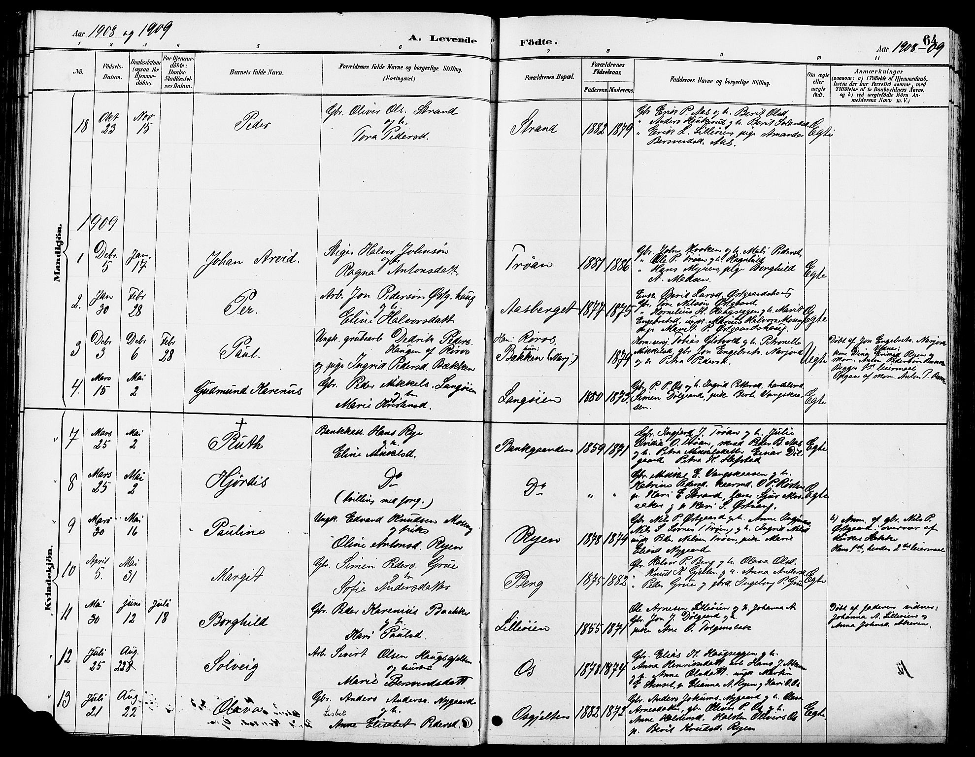 Tolga prestekontor, AV/SAH-PREST-062/L/L0008: Parish register (copy) no. 8, 1887-1912, p. 64