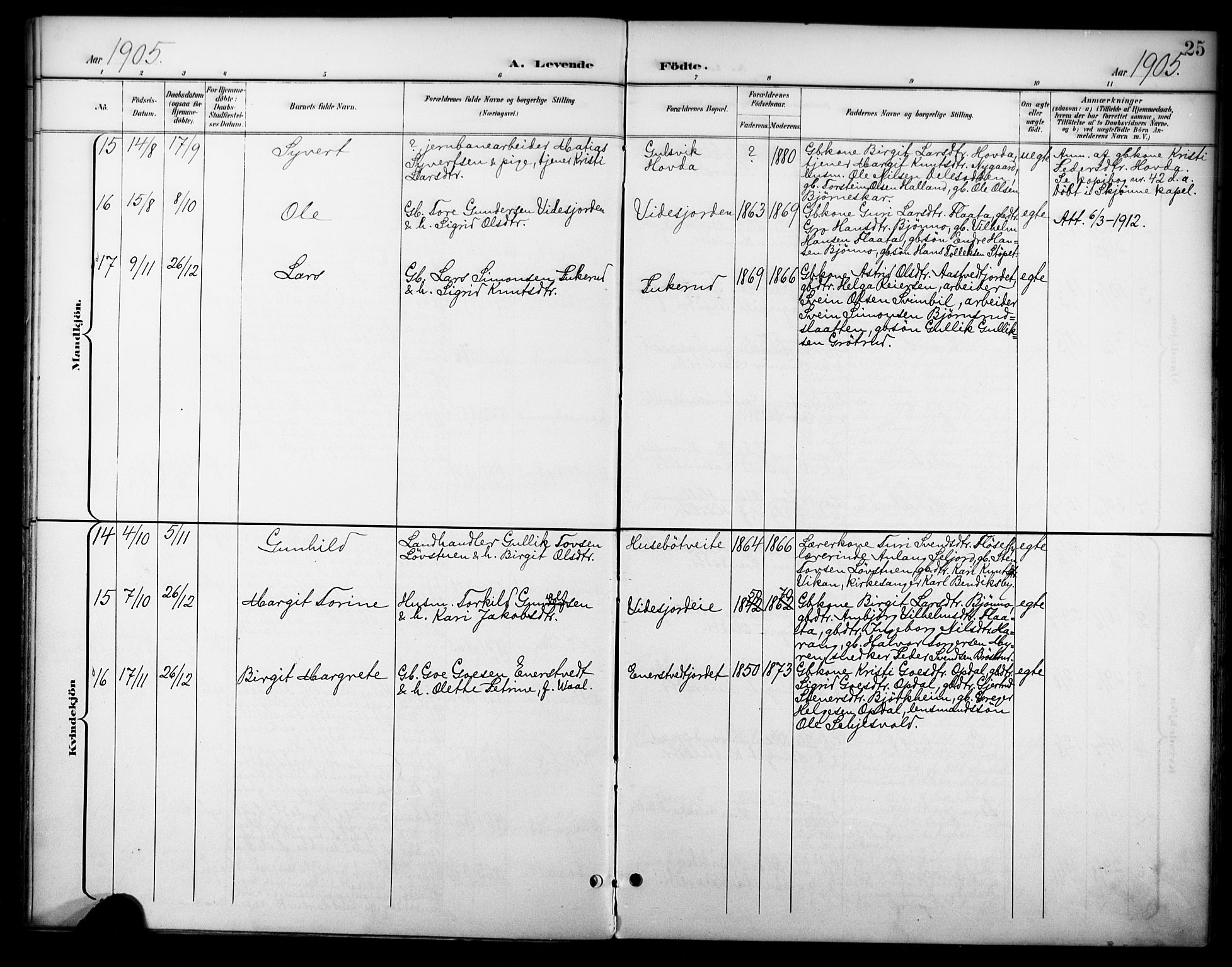 Nore kirkebøker, AV/SAKO-A-238/F/Fc/L0005: Parish register (official) no. III 5, 1898-1922, p. 25