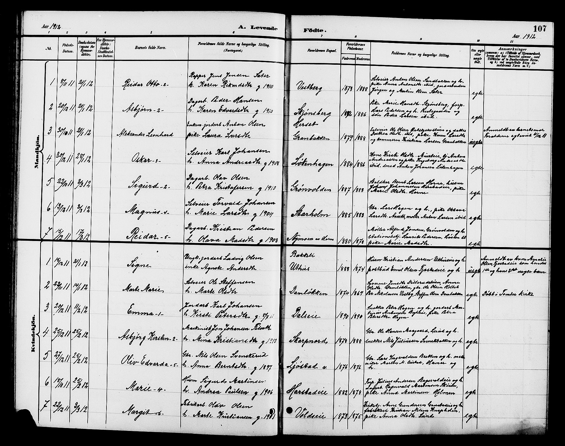 Romedal prestekontor, AV/SAH-PREST-004/L/L0012: Parish register (copy) no. 12, 1896-1914, p. 107