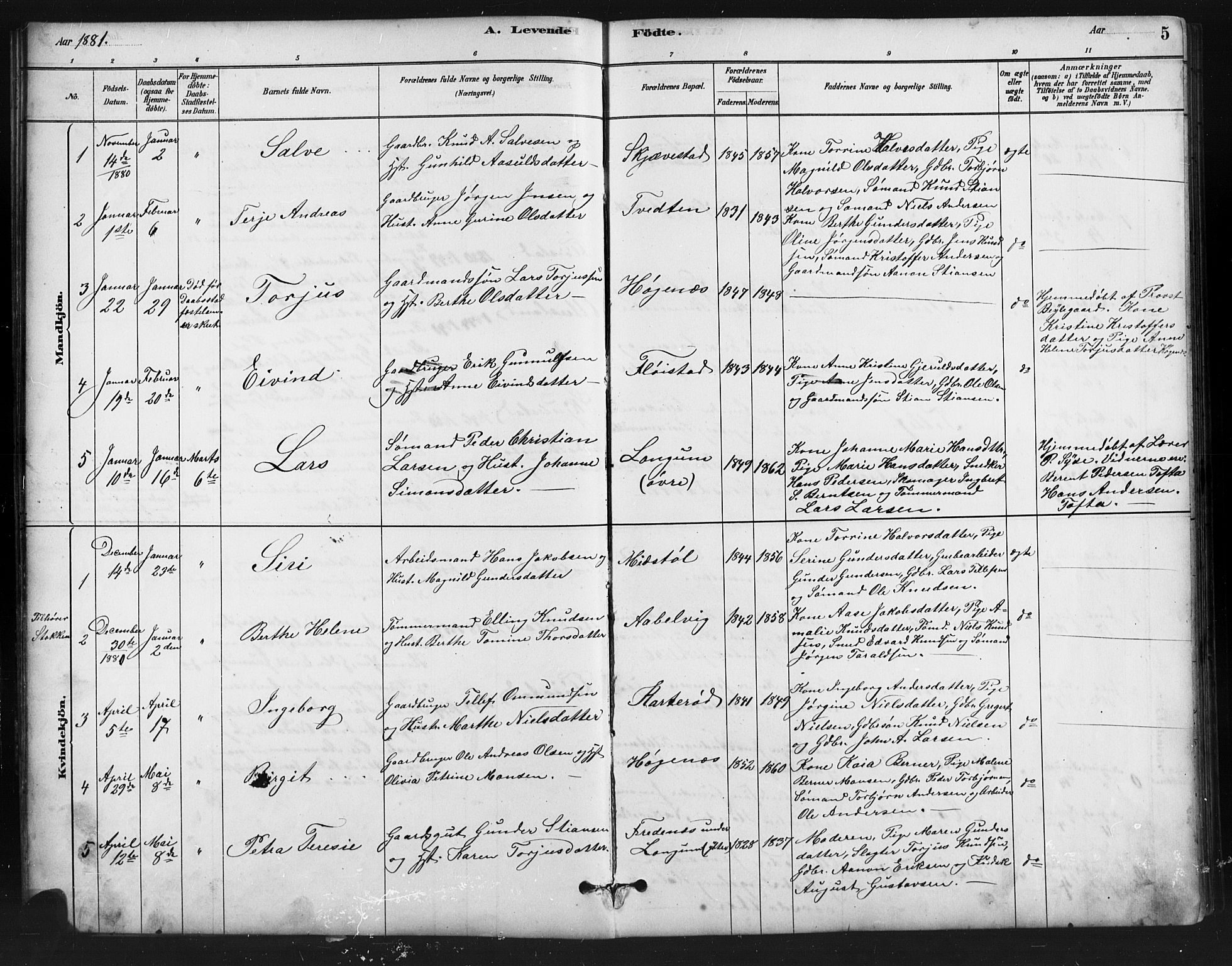 Austre Moland sokneprestkontor, SAK/1111-0001/F/Fb/Fba/L0003: Parish register (copy) no. B 3, 1879-1914, p. 5