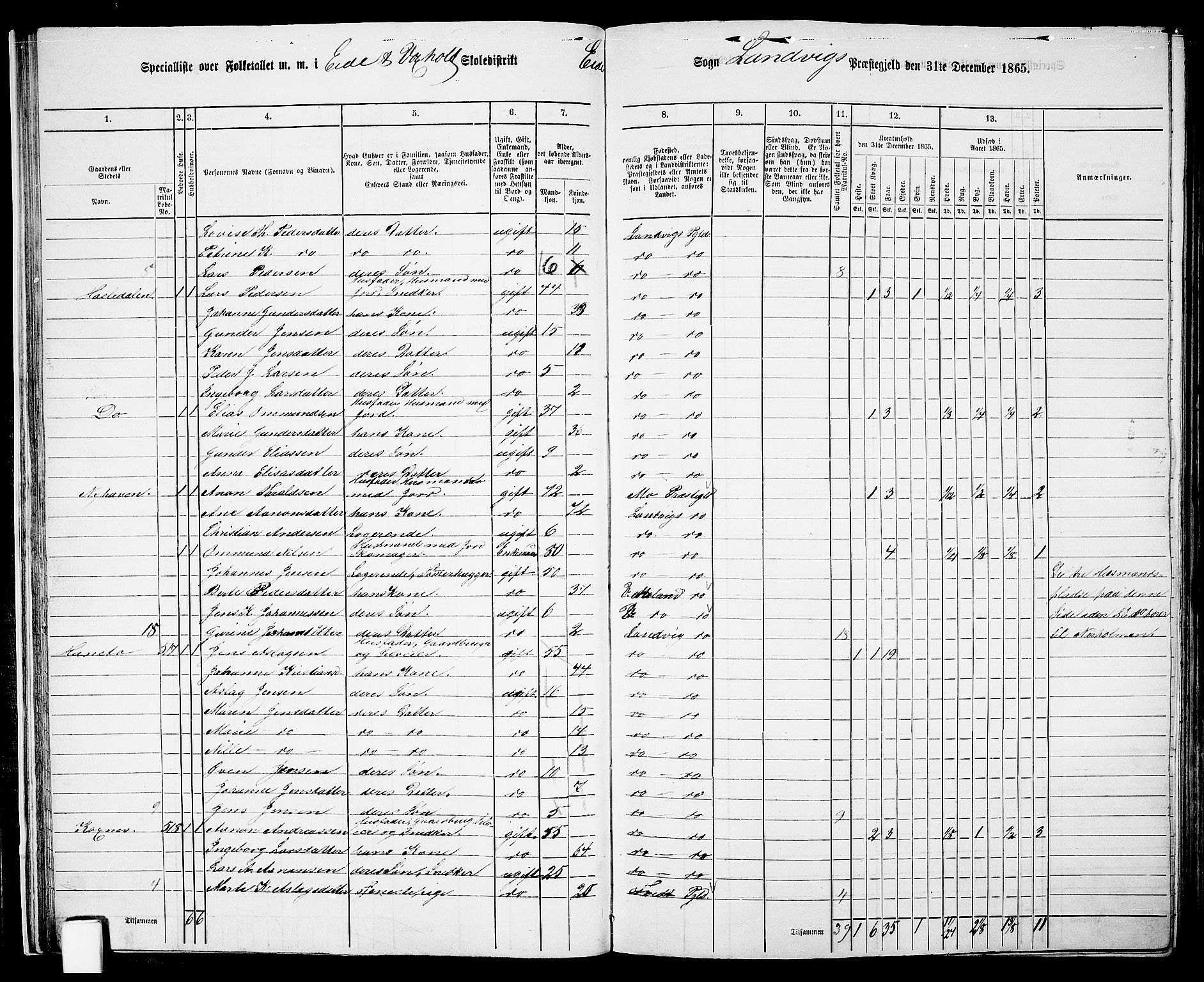 RA, 1865 census for Homedal, 1865, p. 31