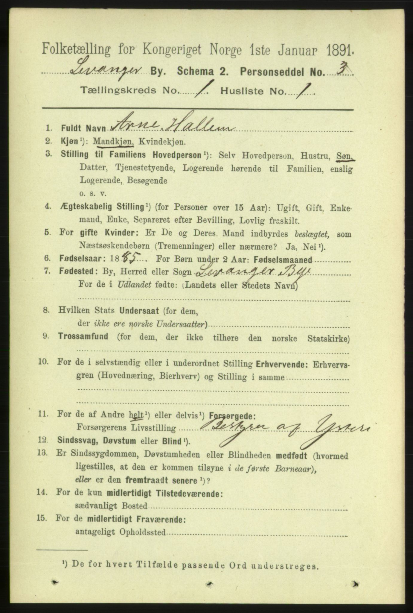 RA, 1891 census for 1701 Levanger, 1891, p. 100