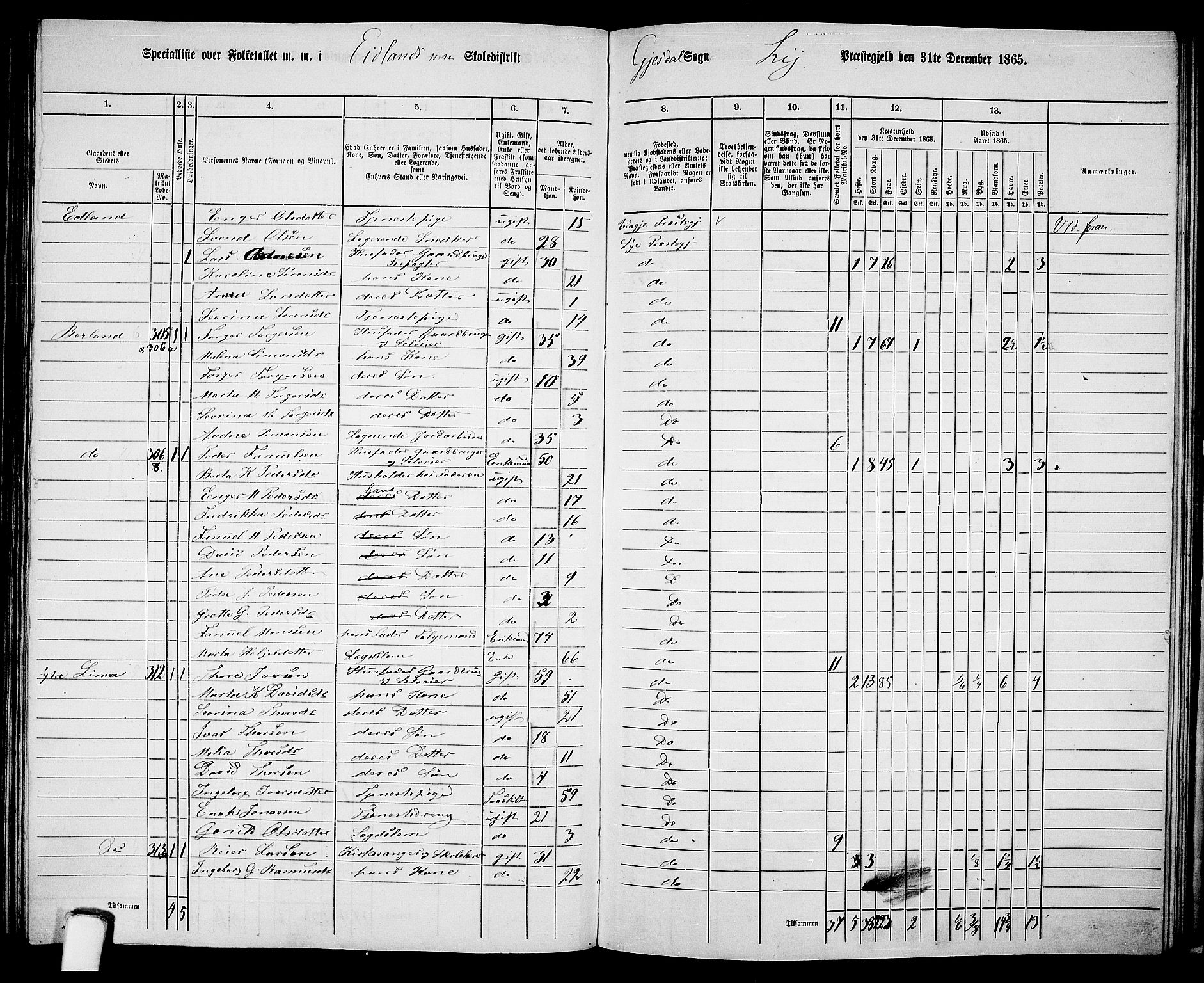 RA, 1865 census for Lye, 1865, p. 121