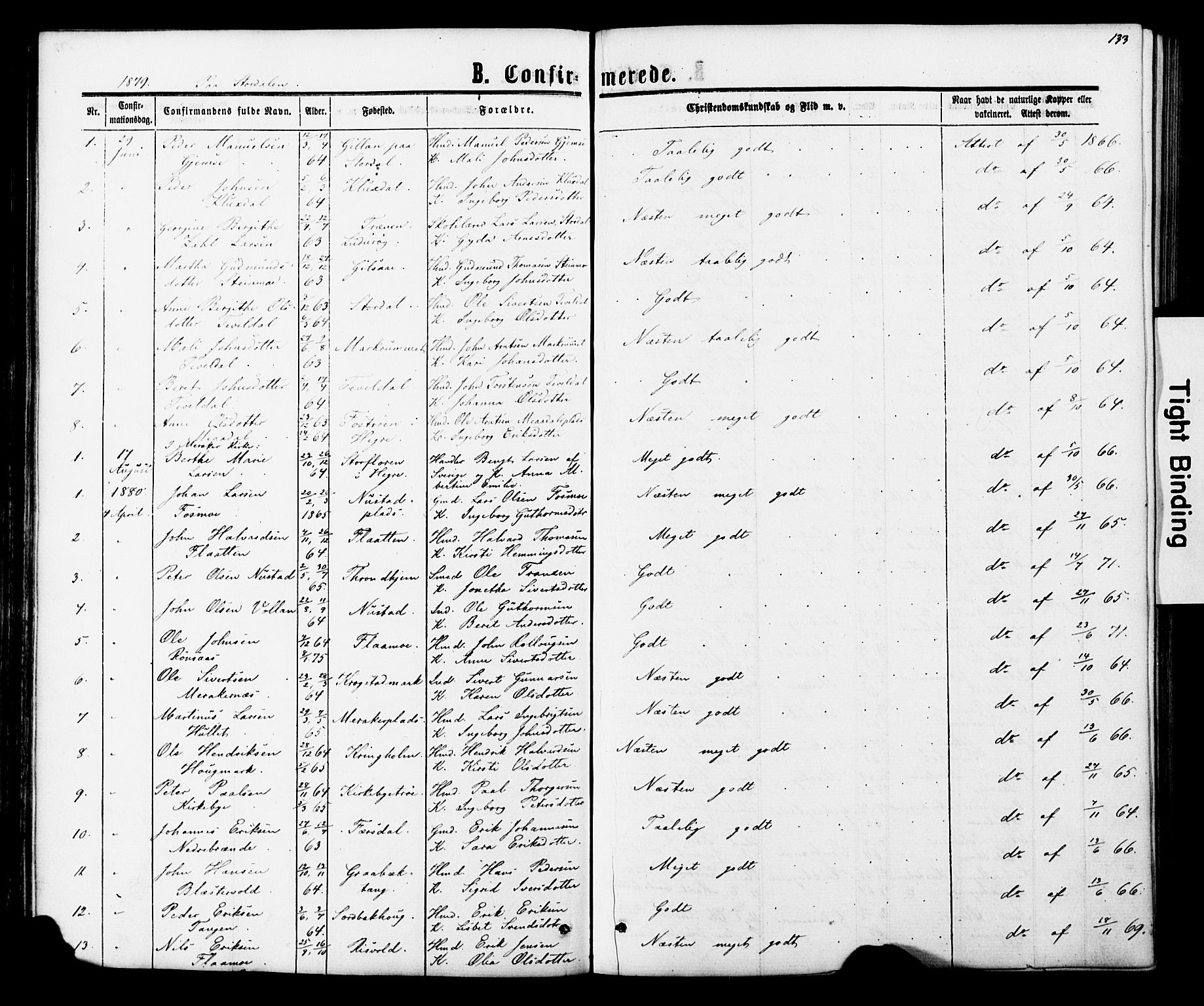 Ministerialprotokoller, klokkerbøker og fødselsregistre - Nord-Trøndelag, SAT/A-1458/706/L0049: Parish register (copy) no. 706C01, 1864-1895, p. 133