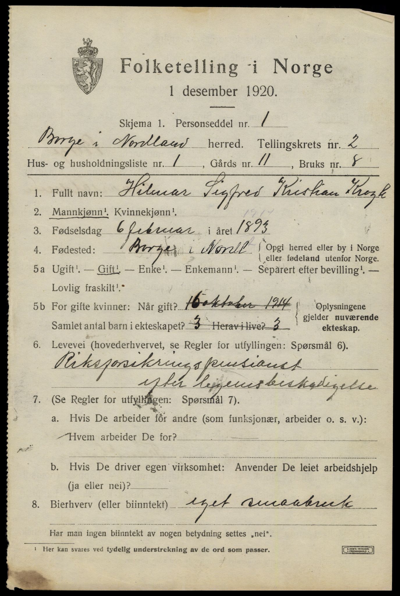 SAT, 1920 census for Borge, 1920, p. 2219