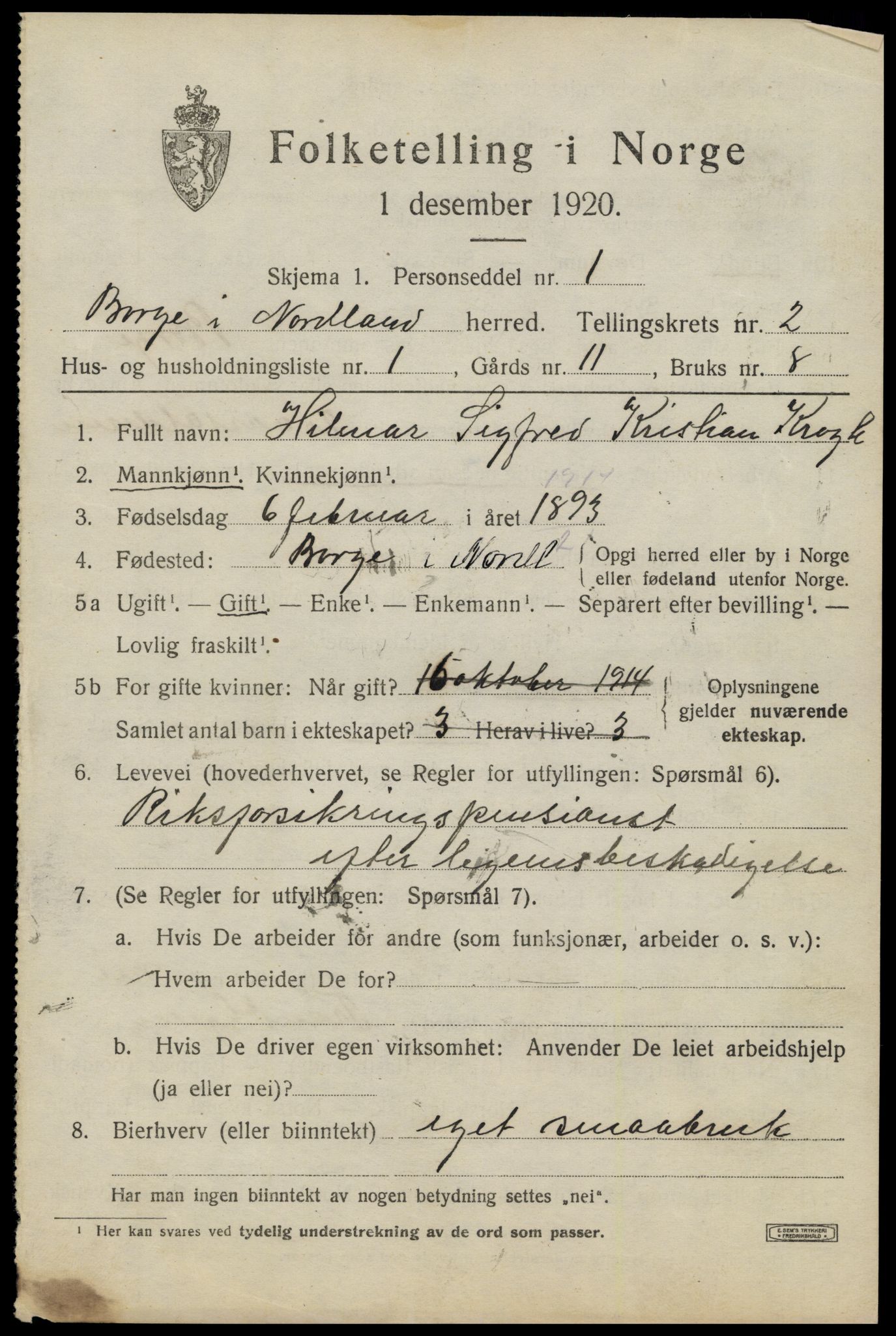 SAT, 1920 census for Borge, 1920, p. 2219