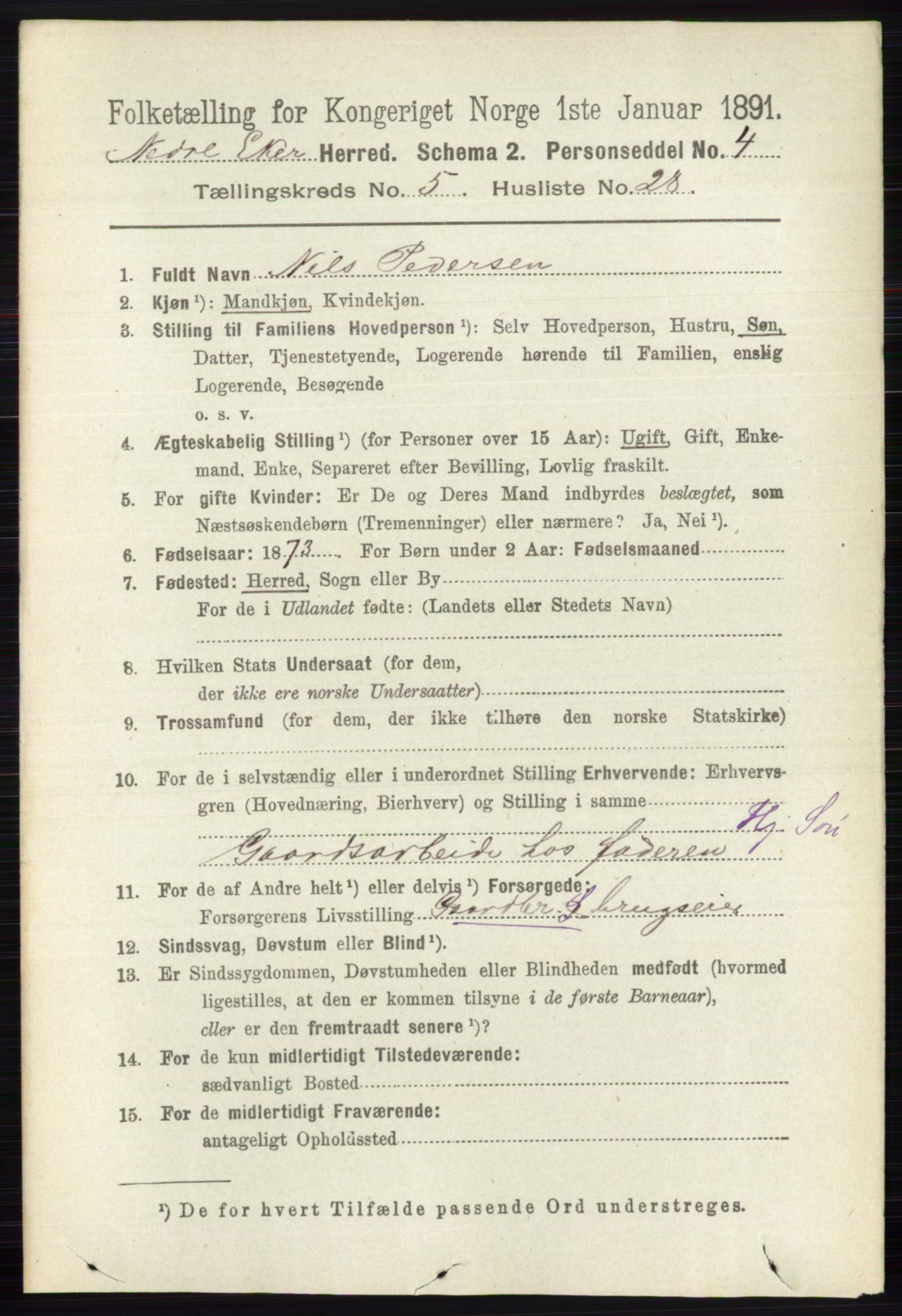 RA, 1891 census for 0625 Nedre Eiker, 1891, p. 2482