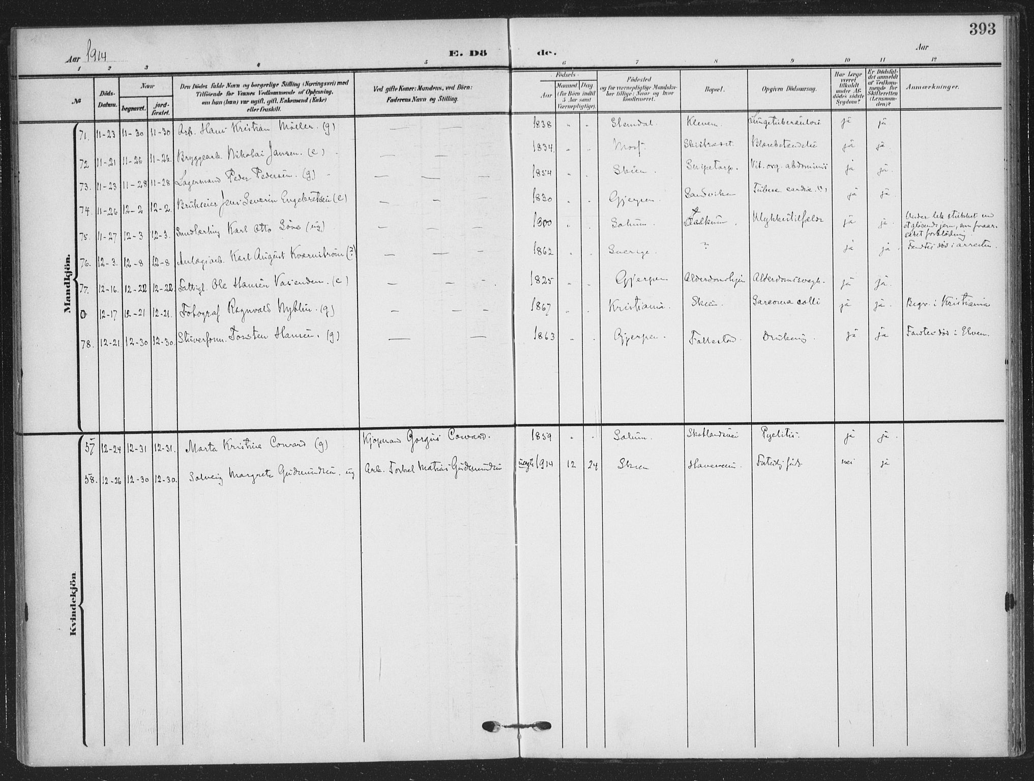 Skien kirkebøker, AV/SAKO-A-302/F/Fa/L0012: Parish register (official) no. 12, 1908-1914, p. 393