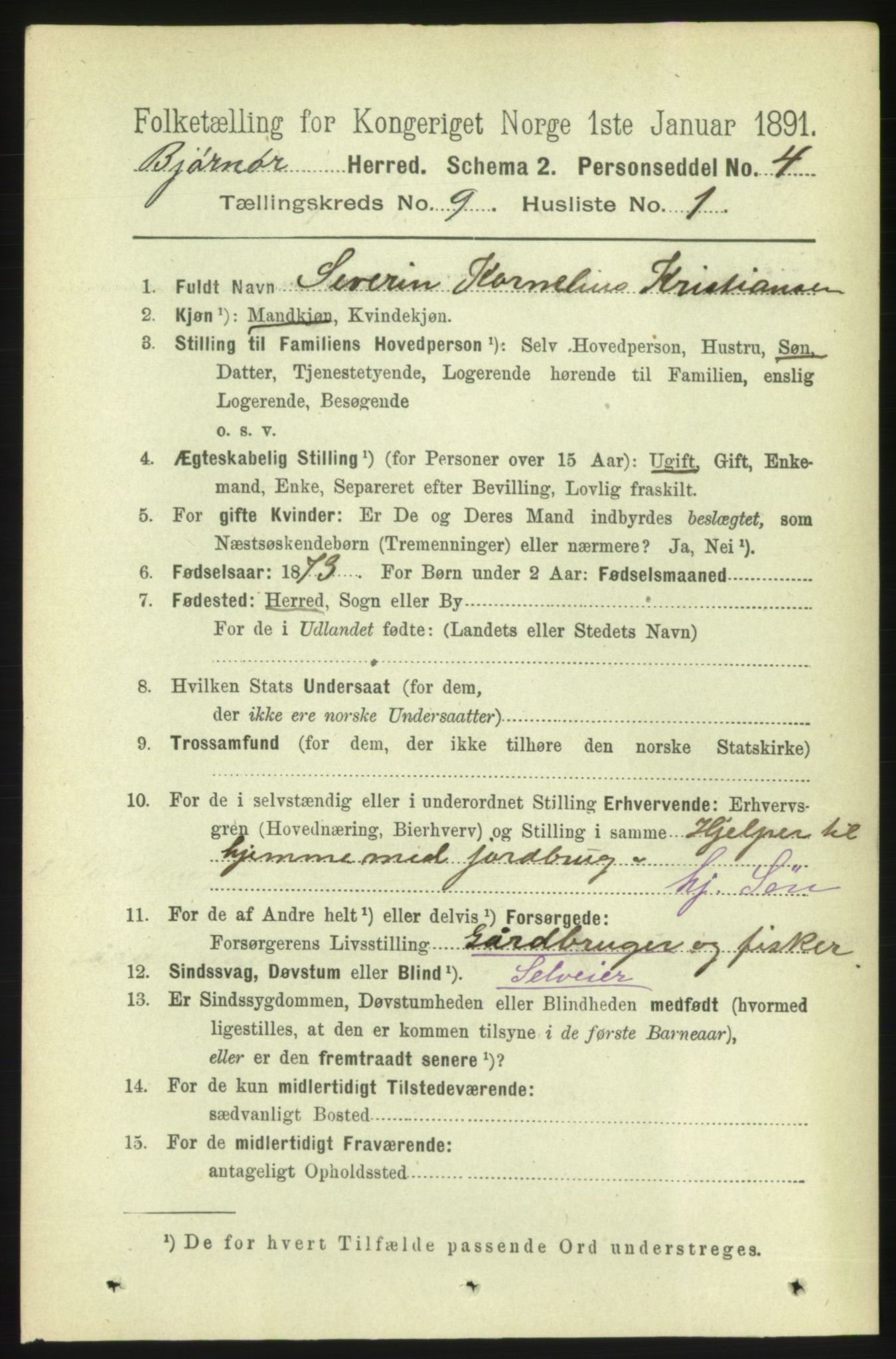 RA, 1891 census for 1632 Bjørnør, 1891, p. 3781