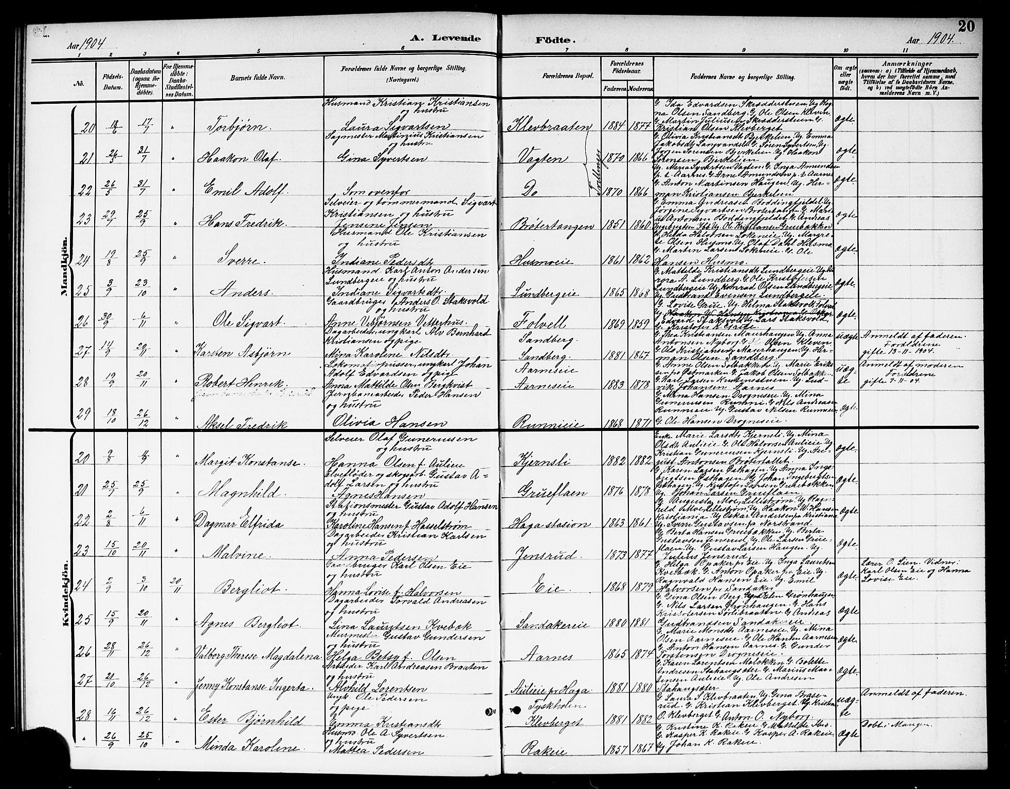 Nes prestekontor Kirkebøker, AV/SAO-A-10410/G/Gc/L0001: Parish register (copy) no. III 1, 1901-1917, p. 20