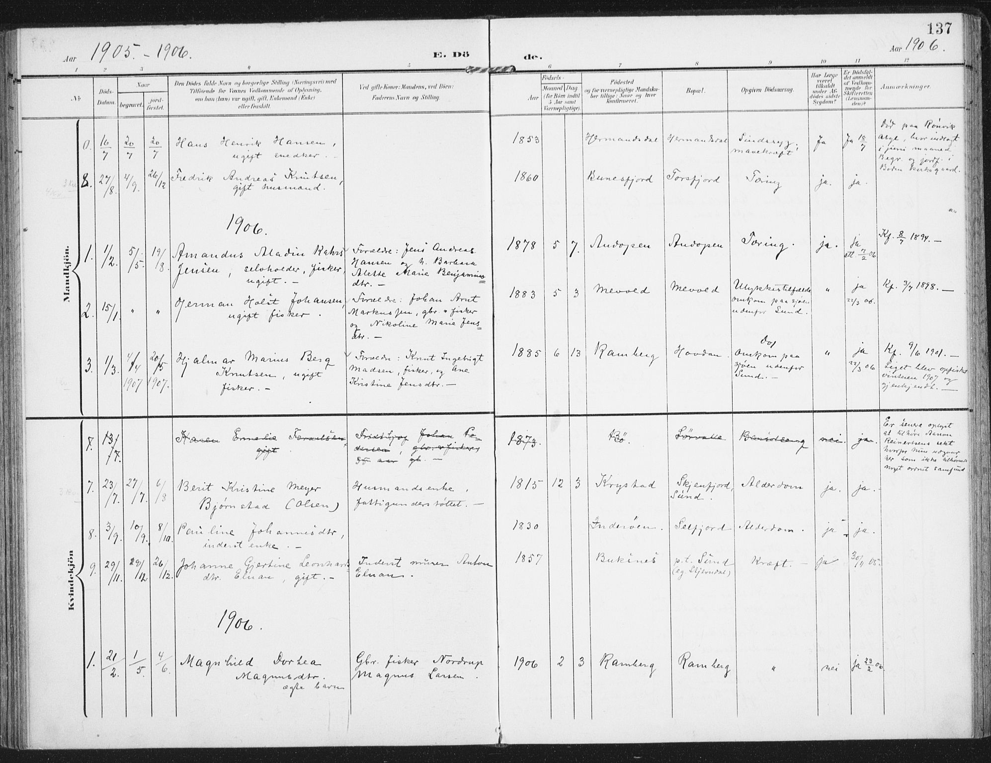 Ministerialprotokoller, klokkerbøker og fødselsregistre - Nordland, AV/SAT-A-1459/885/L1206: Parish register (official) no. 885A07, 1905-1915, p. 137