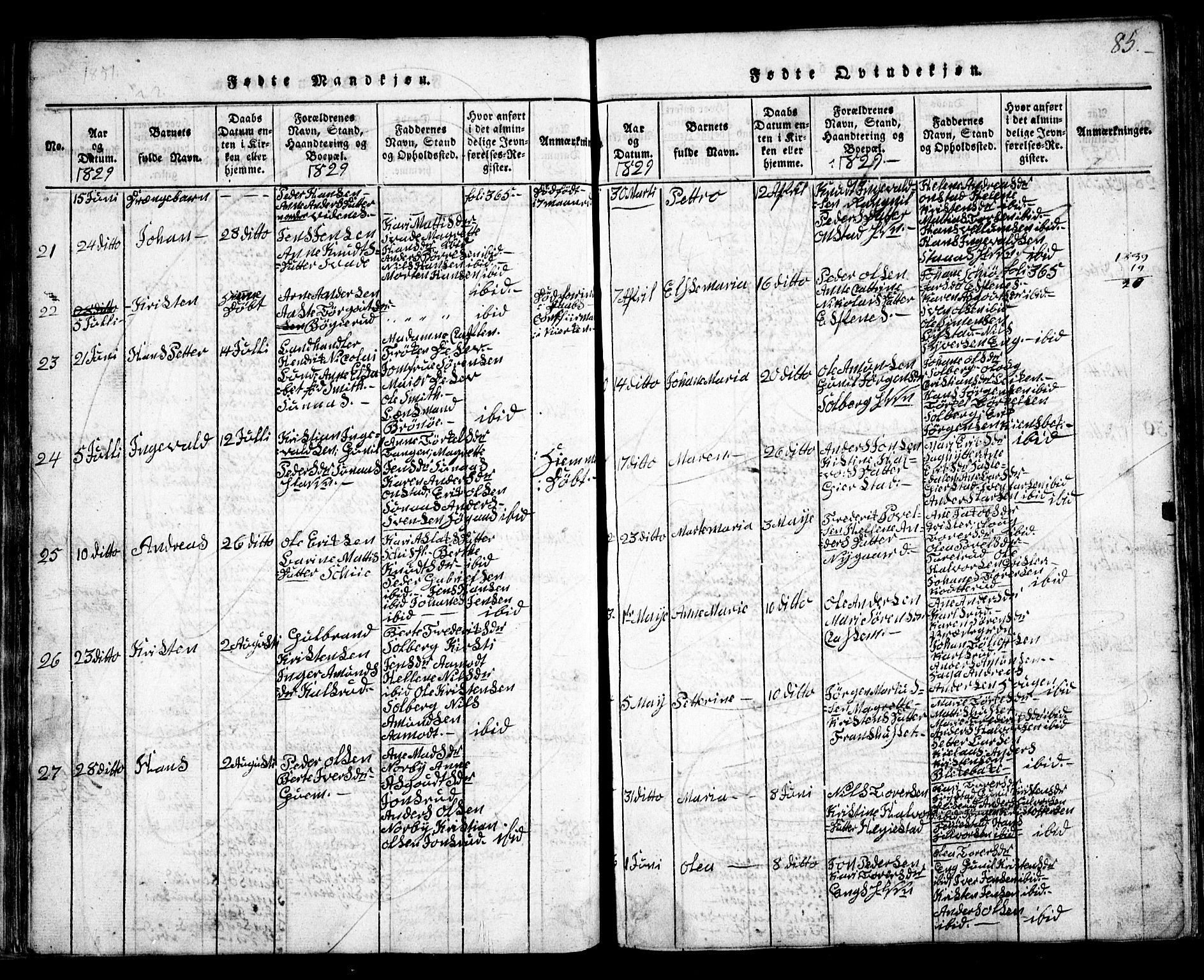 Skiptvet prestekontor Kirkebøker, SAO/A-20009/G/Ga/L0001: Parish register (copy) no. 1, 1815-1838, p. 85