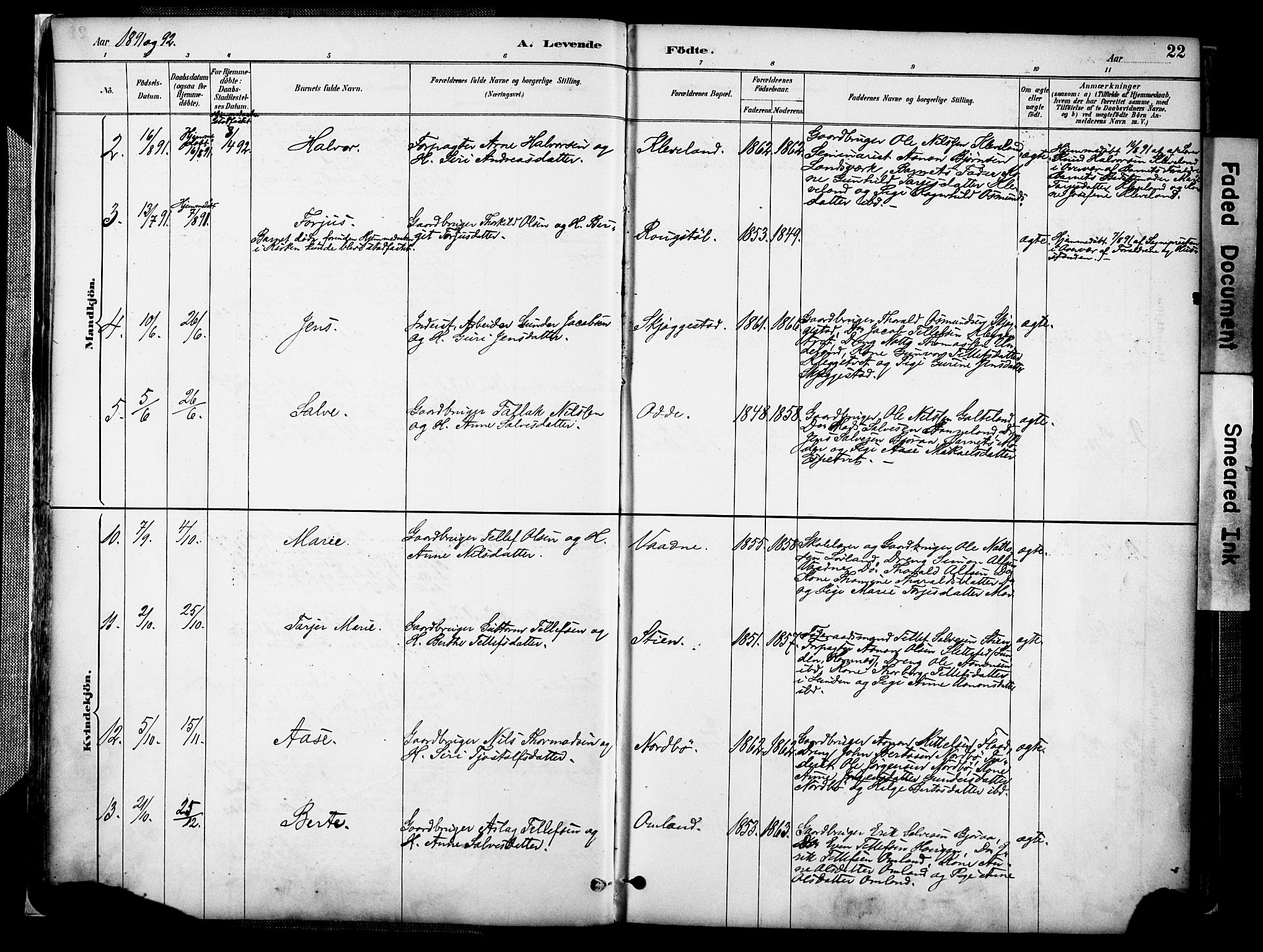 Evje sokneprestkontor, AV/SAK-1111-0008/F/Fa/Faa/L0007: Parish register (official) no. A 7, 1884-1909, p. 22