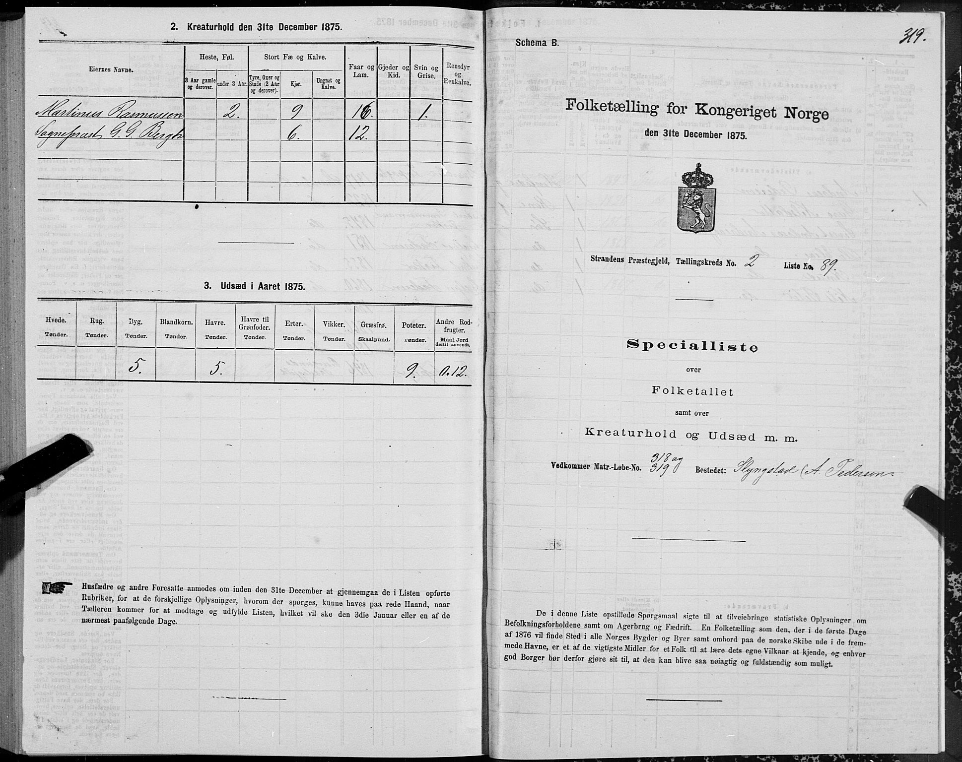 SAT, 1875 census for 1525P Stranda, 1875, p. 1319