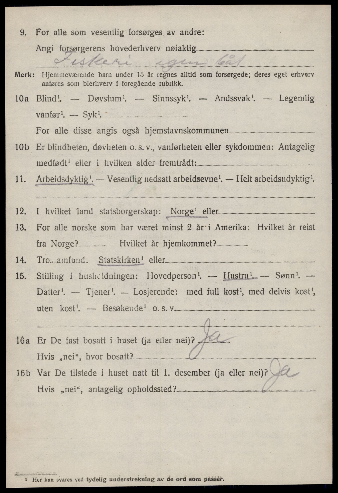 SAT, 1920 census for Hustad, 1920, p. 1480