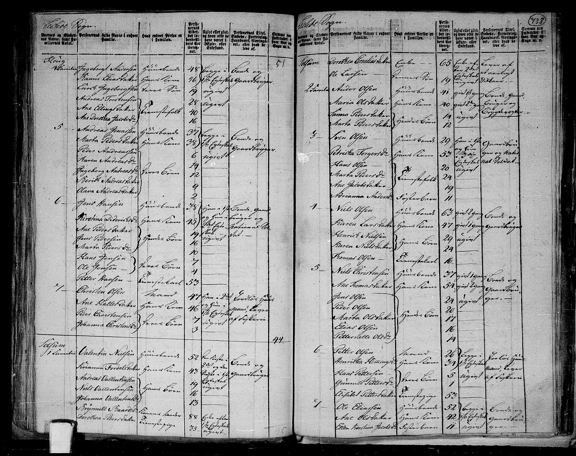 RA, 1801 census for 1752P Kolvereid, 1801, p. 737b-738a