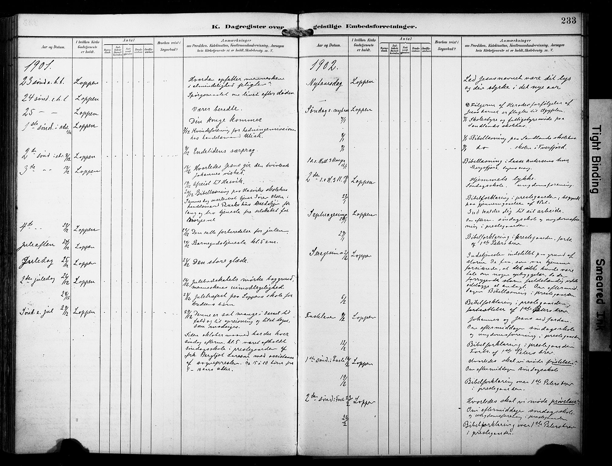 Loppa sokneprestkontor, SATØ/S-1339/H/Ha/L0009kirke: Parish register (official) no. 9, 1895-1909, p. 233