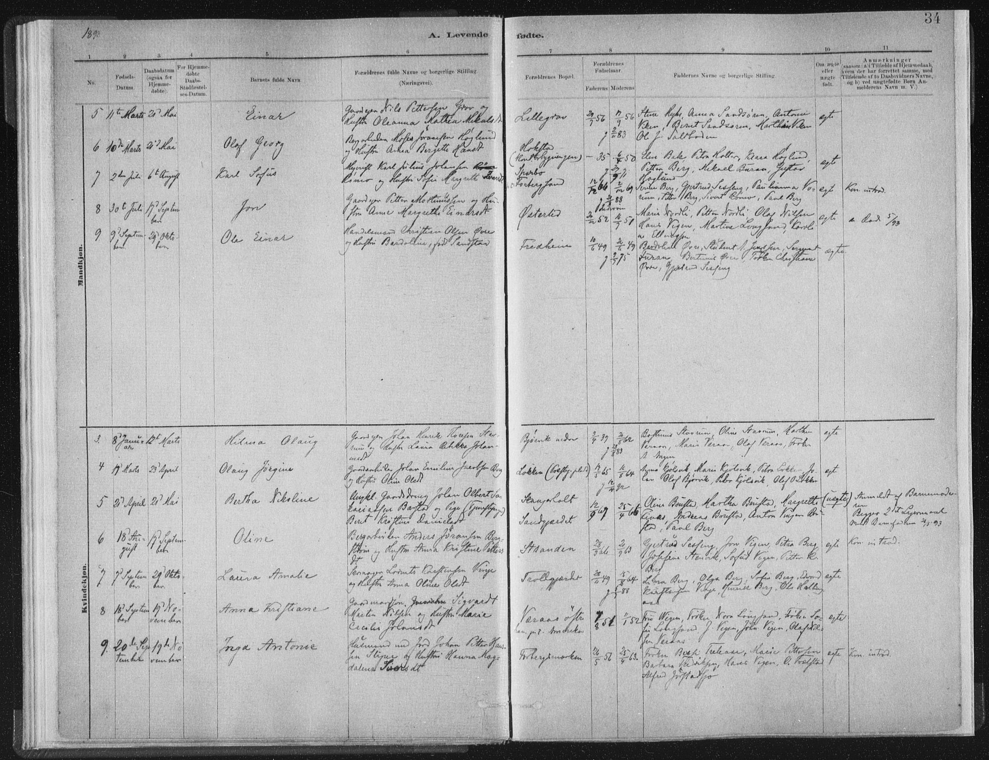 Ministerialprotokoller, klokkerbøker og fødselsregistre - Nord-Trøndelag, SAT/A-1458/722/L0220: Parish register (official) no. 722A07, 1881-1908, p. 34