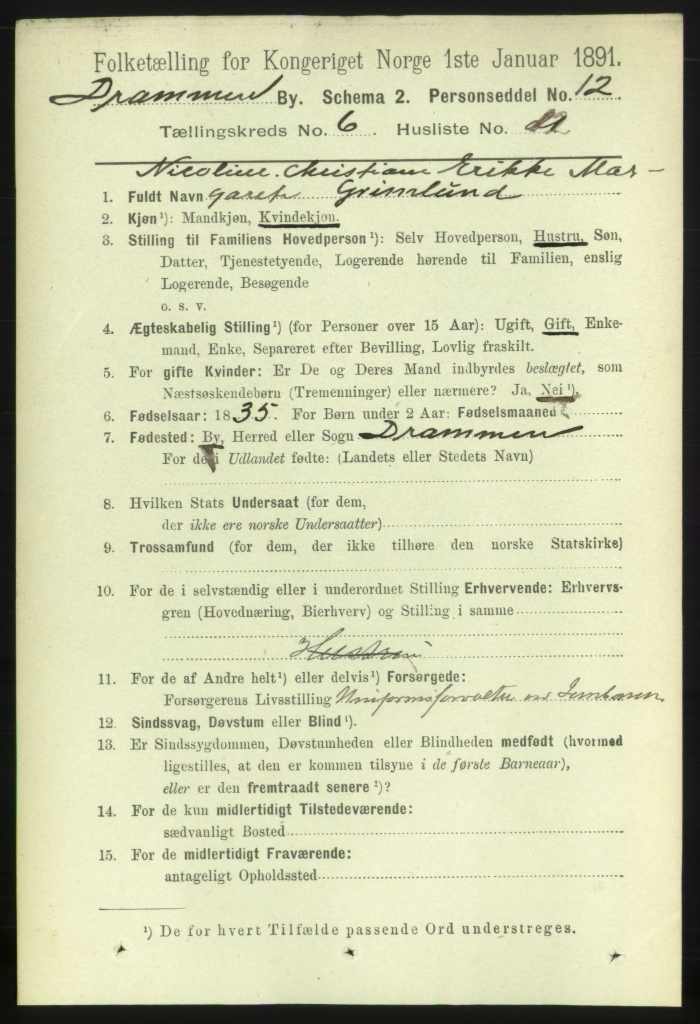 RA, 1891 census for 0602 Drammen, 1891, p. 6227