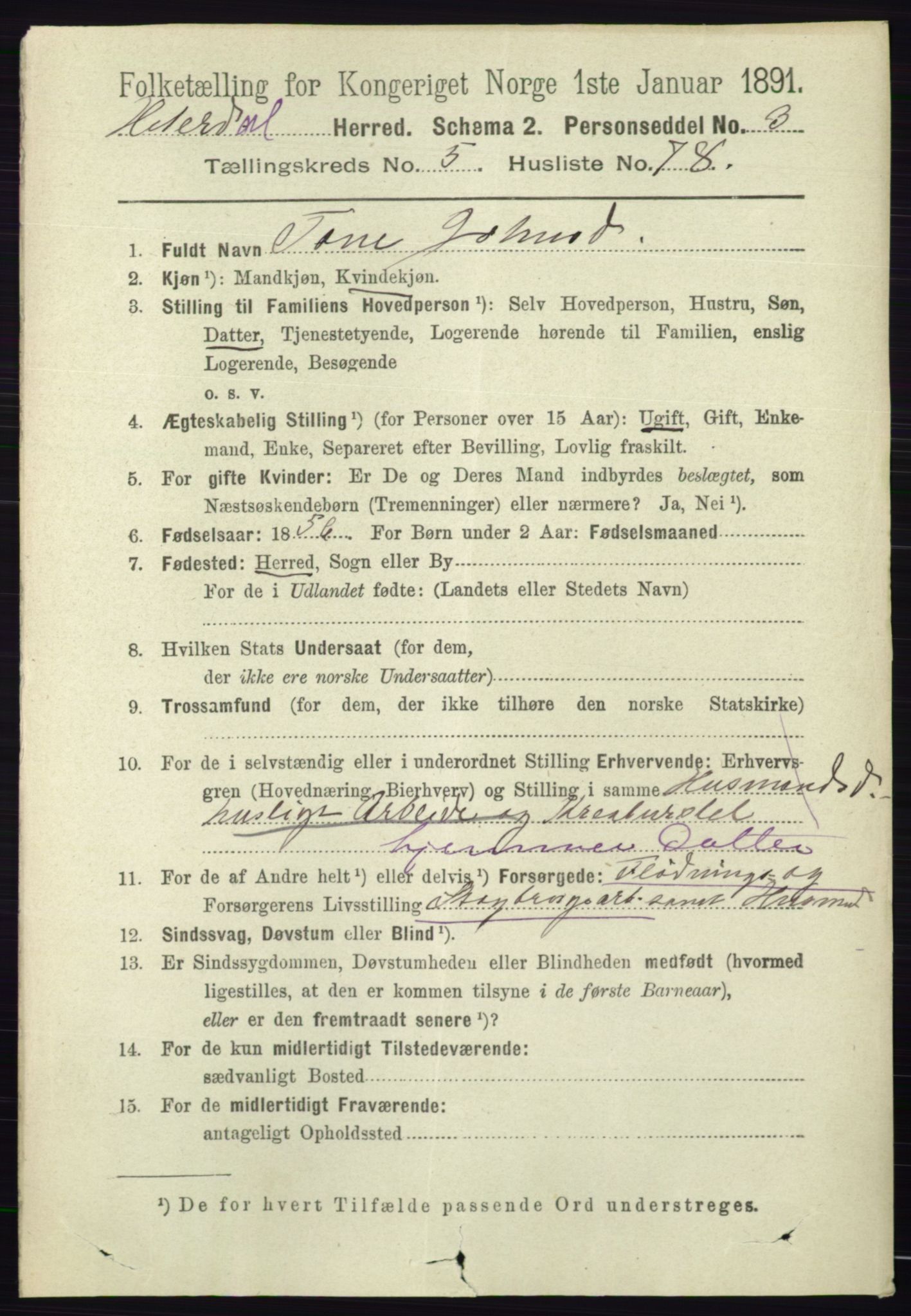 RA, 1891 census for 0823 Heddal, 1891, p. 2522