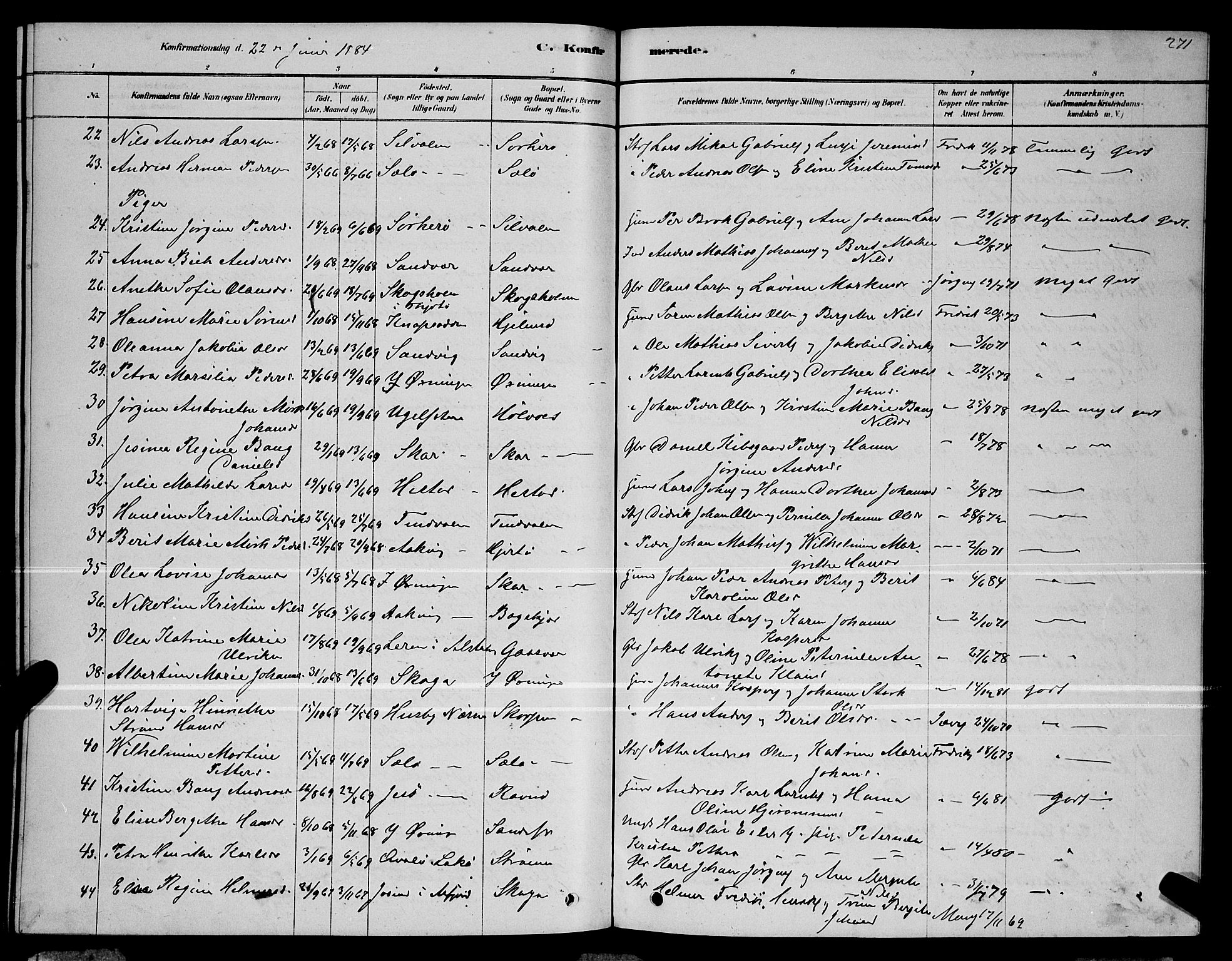 Ministerialprotokoller, klokkerbøker og fødselsregistre - Nordland, AV/SAT-A-1459/834/L0513: Parish register (copy) no. 834C04, 1877-1892, p. 271