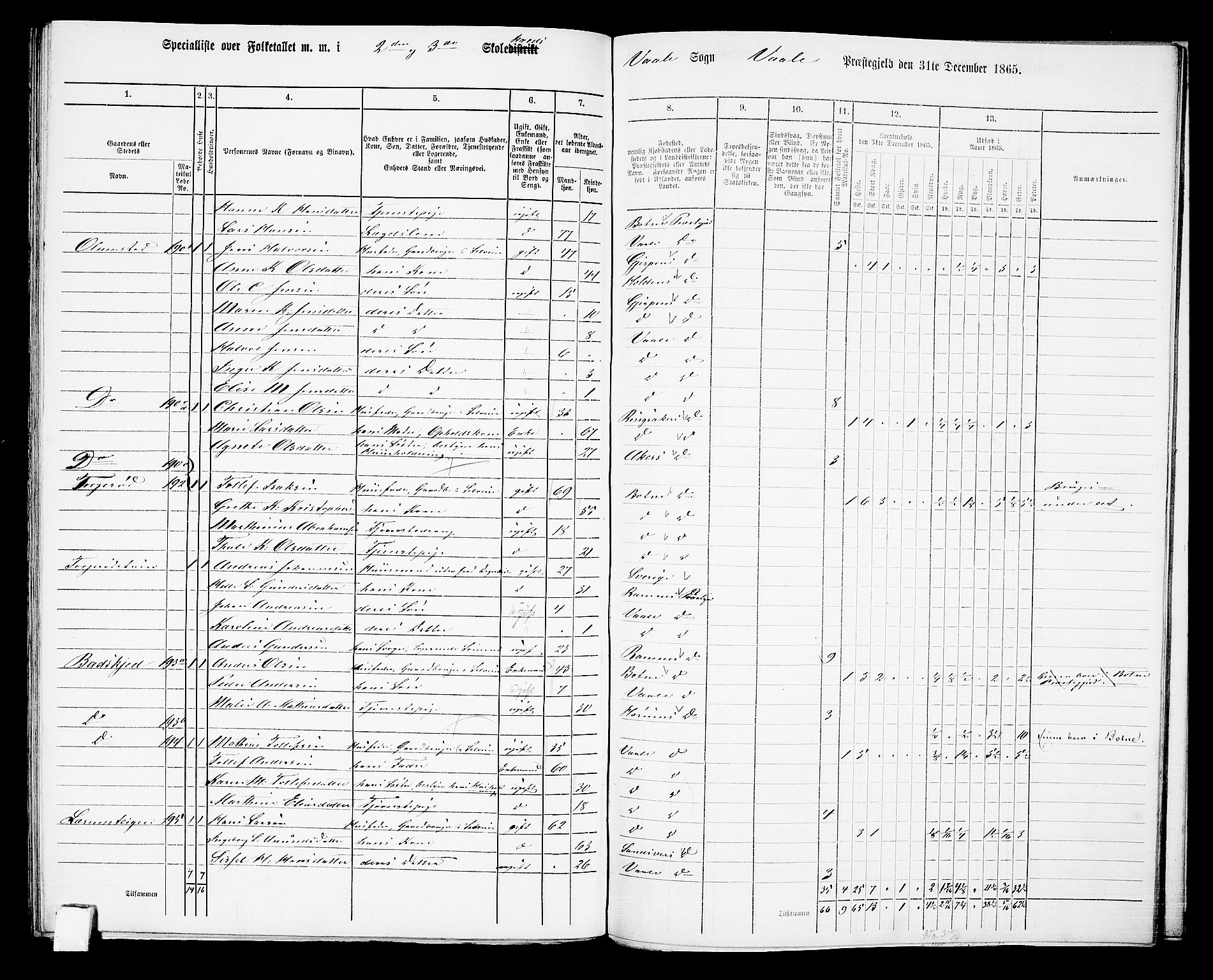 RA, 1865 census for Våle, 1865, p. 72