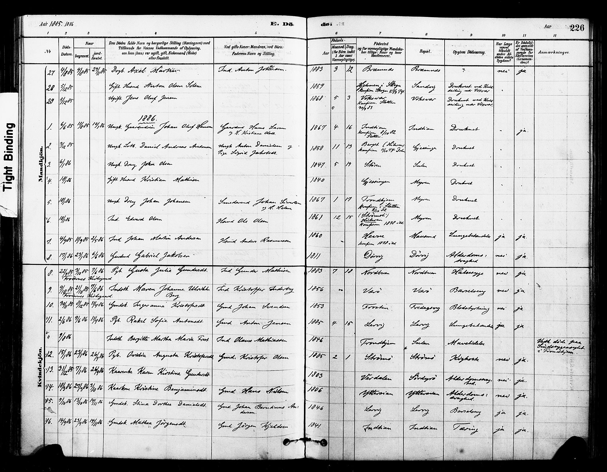 Ministerialprotokoller, klokkerbøker og fødselsregistre - Sør-Trøndelag, SAT/A-1456/640/L0578: Parish register (official) no. 640A03, 1879-1889, p. 226
