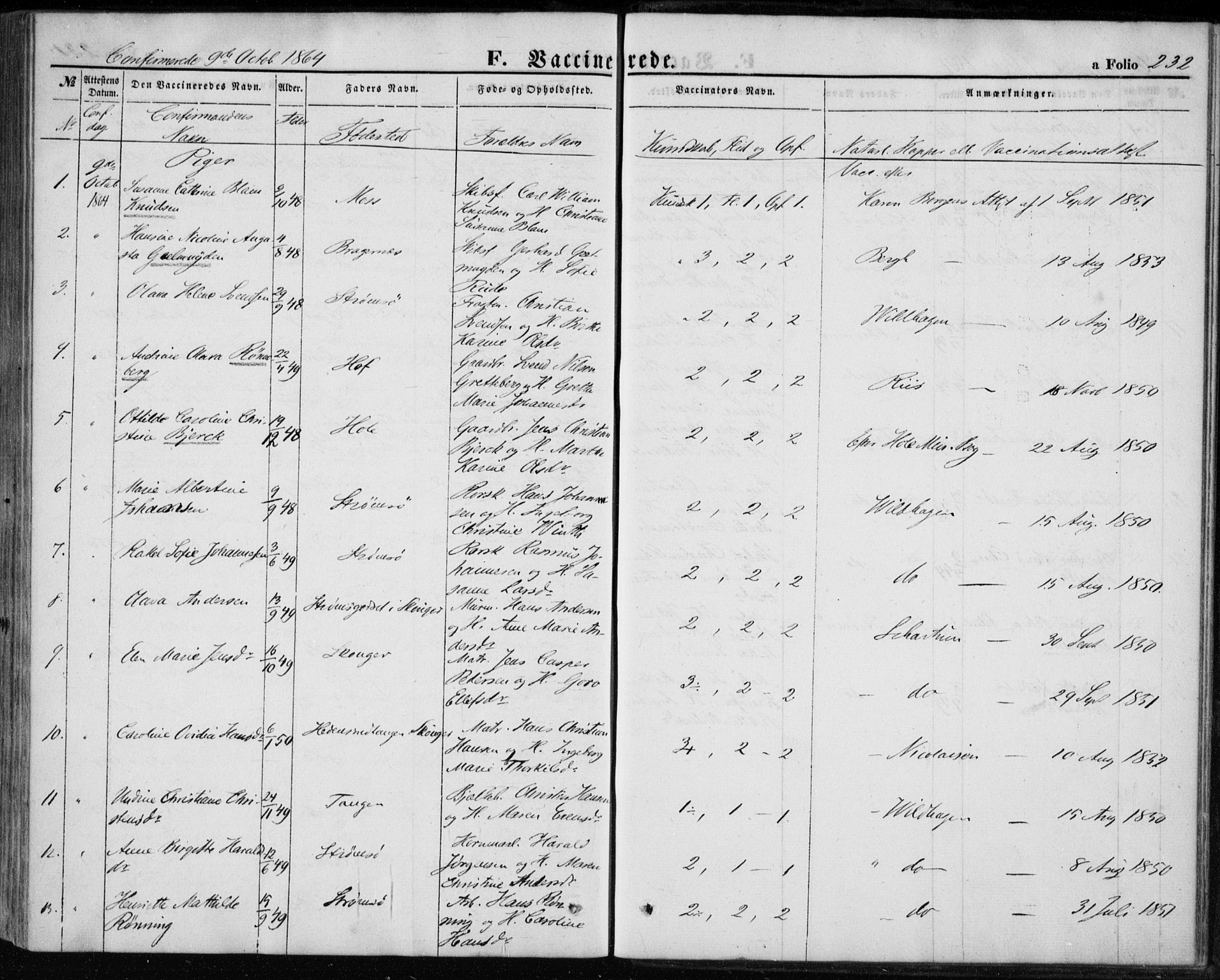 Strømsø kirkebøker, AV/SAKO-A-246/F/Fa/L0017: Parish register (official) no. I 17, 1848-1865, p. 232