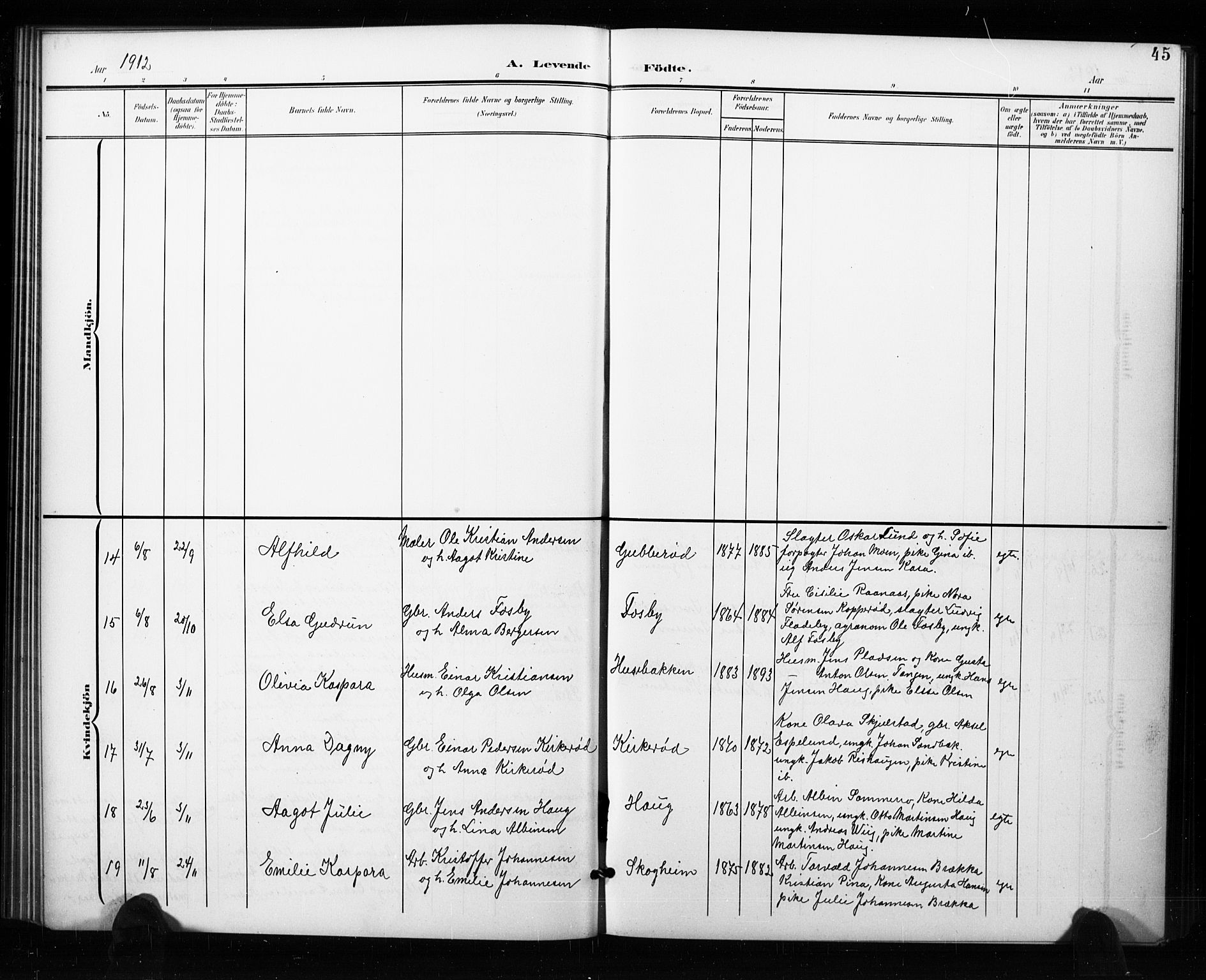 Aremark prestekontor Kirkebøker, SAO/A-10899/G/Ga/L0002: Parish register (copy) no. I 2, 1901-1928, p. 45