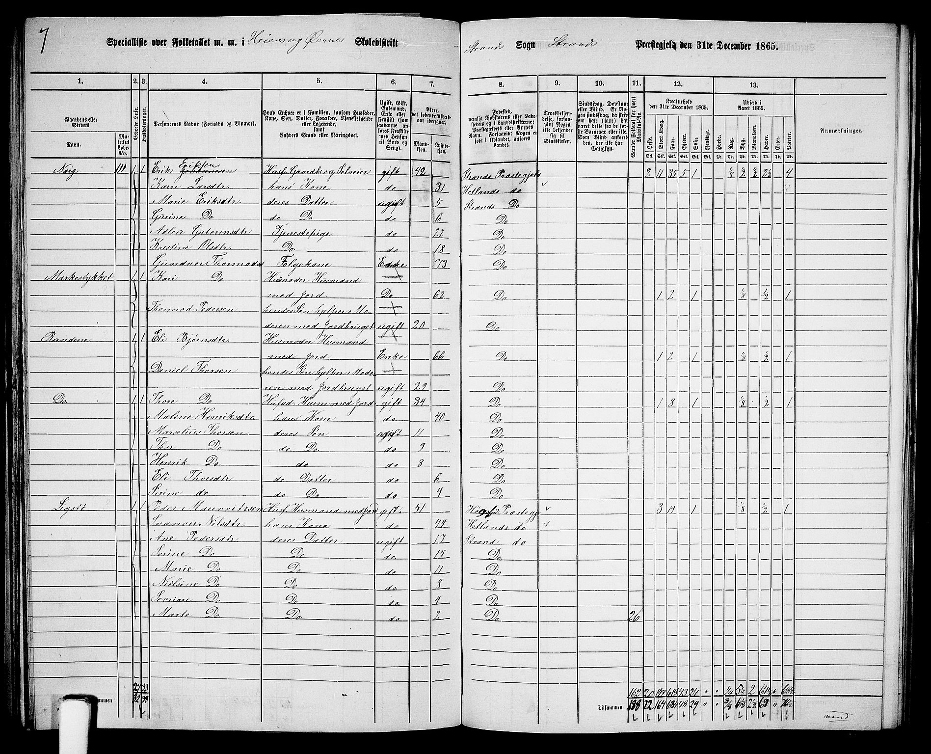 RA, 1865 census for Strand, 1865, p. 63