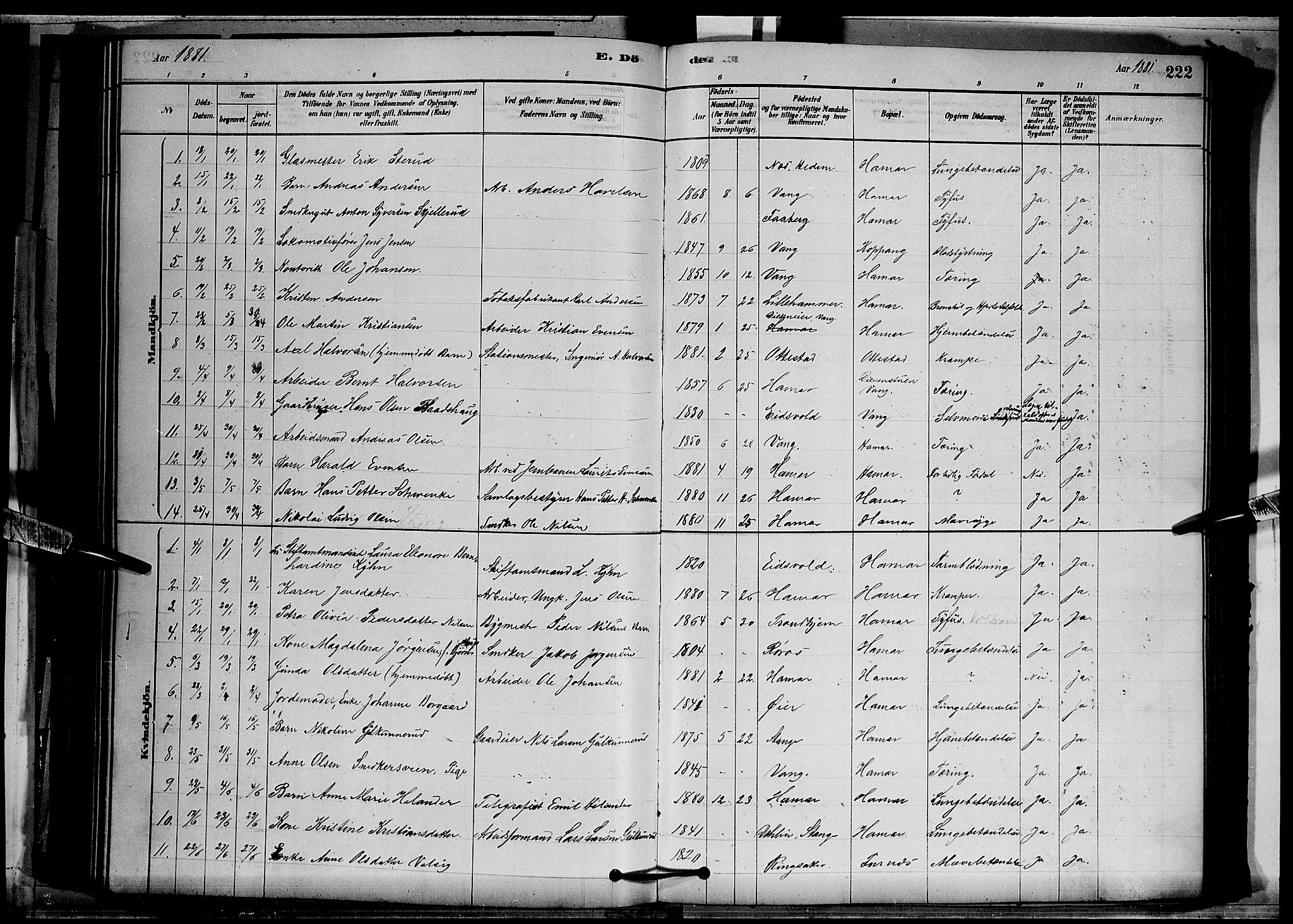 Vang prestekontor, Hedmark, SAH/PREST-008/H/Ha/Hab/L0012: Parish register (copy) no. 12, 1878-1889, p. 222