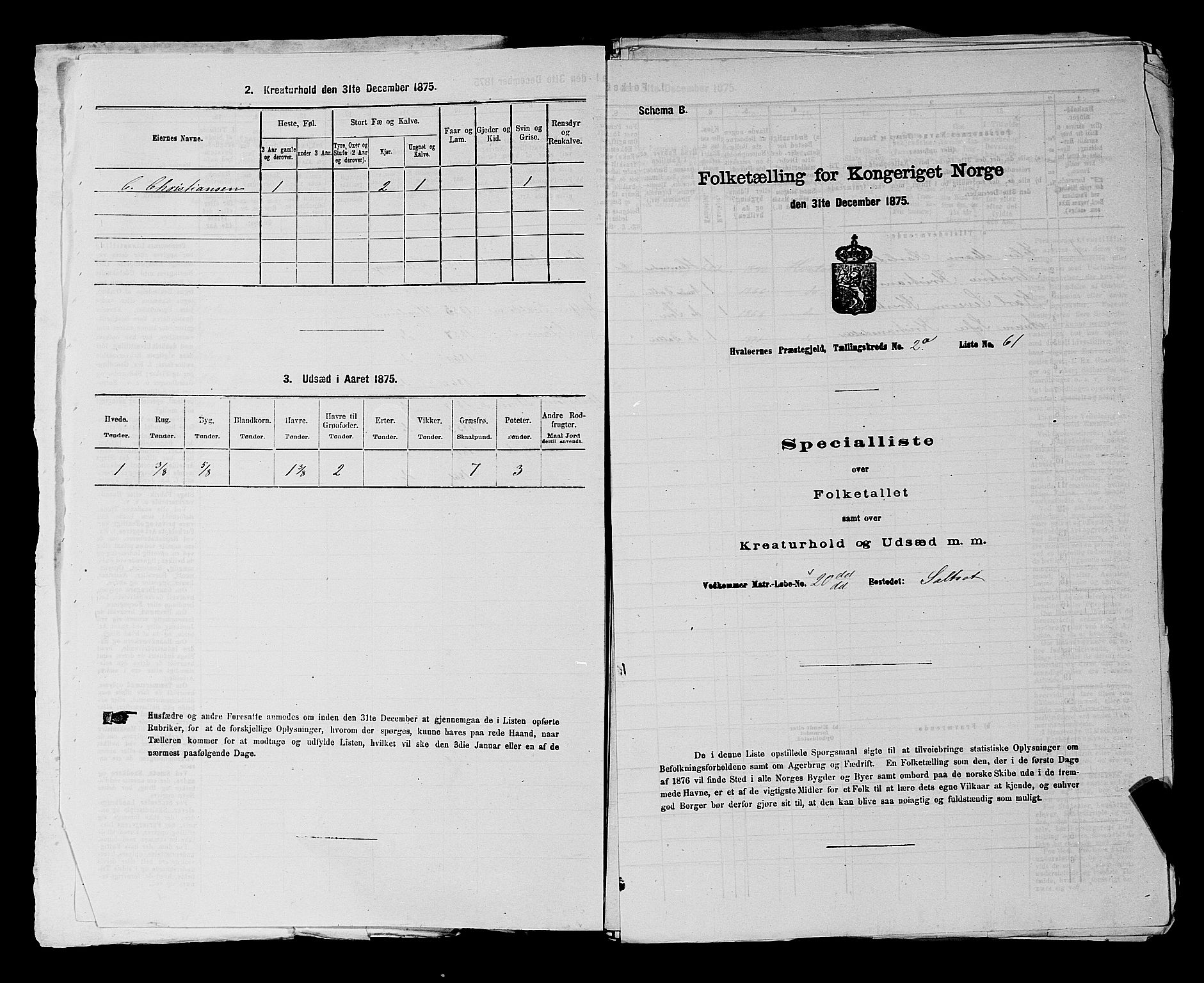 RA, 1875 census for 0111P Hvaler, 1875, p. 256