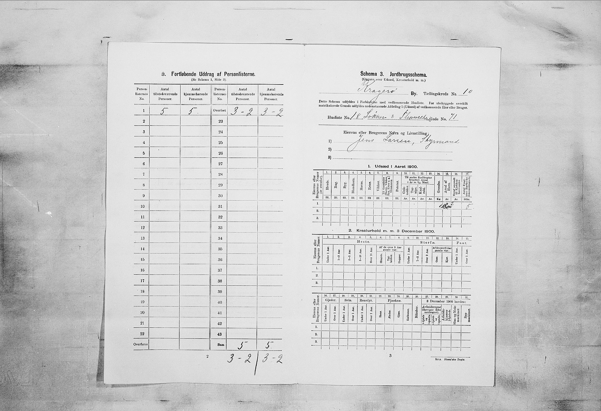 SAKO, 1900 census for Kragerø, 1900, p. 1284