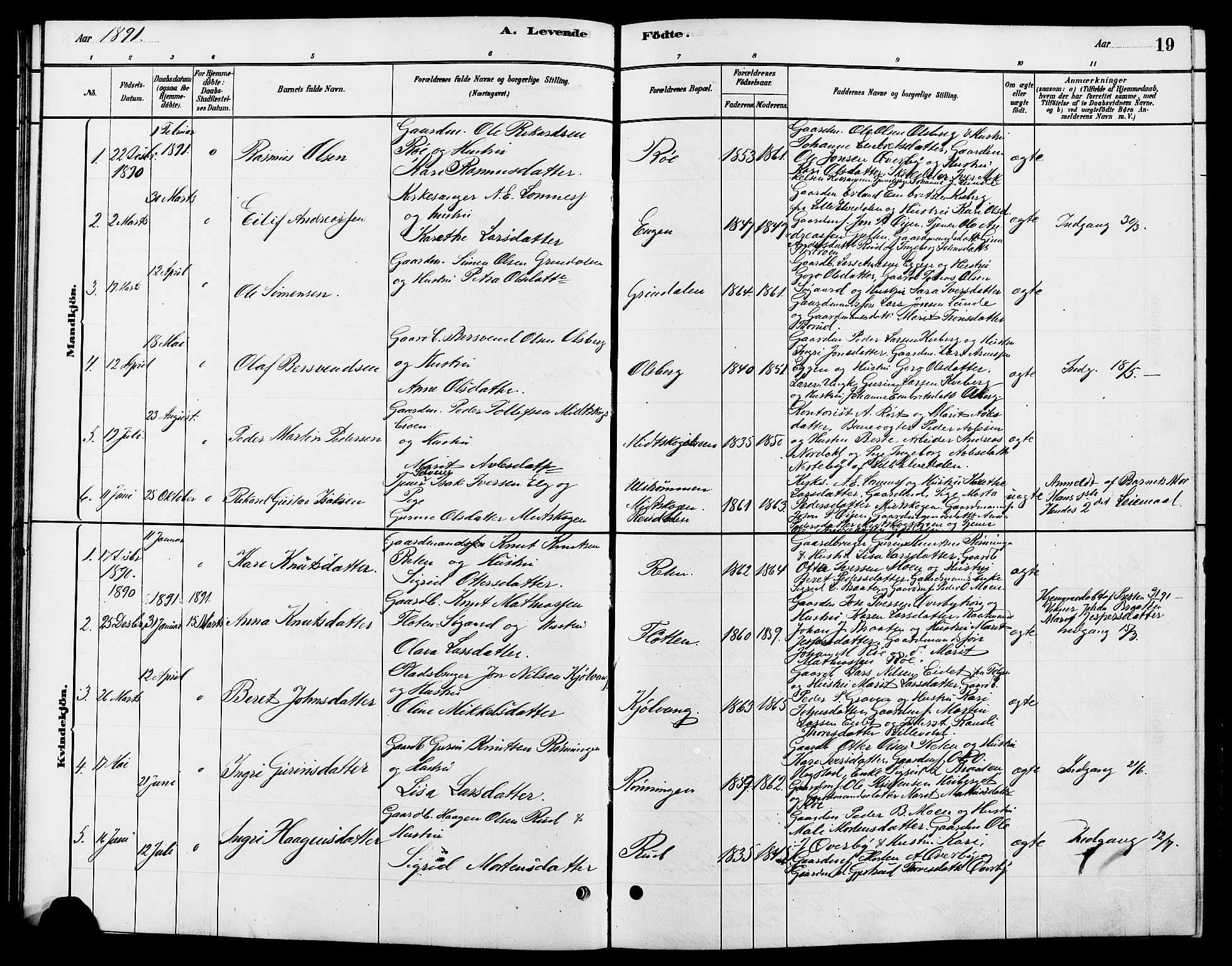 Tynset prestekontor, SAH/PREST-058/H/Ha/Hab/L0007: Parish register (copy) no. 7, 1880-1901, p. 19
