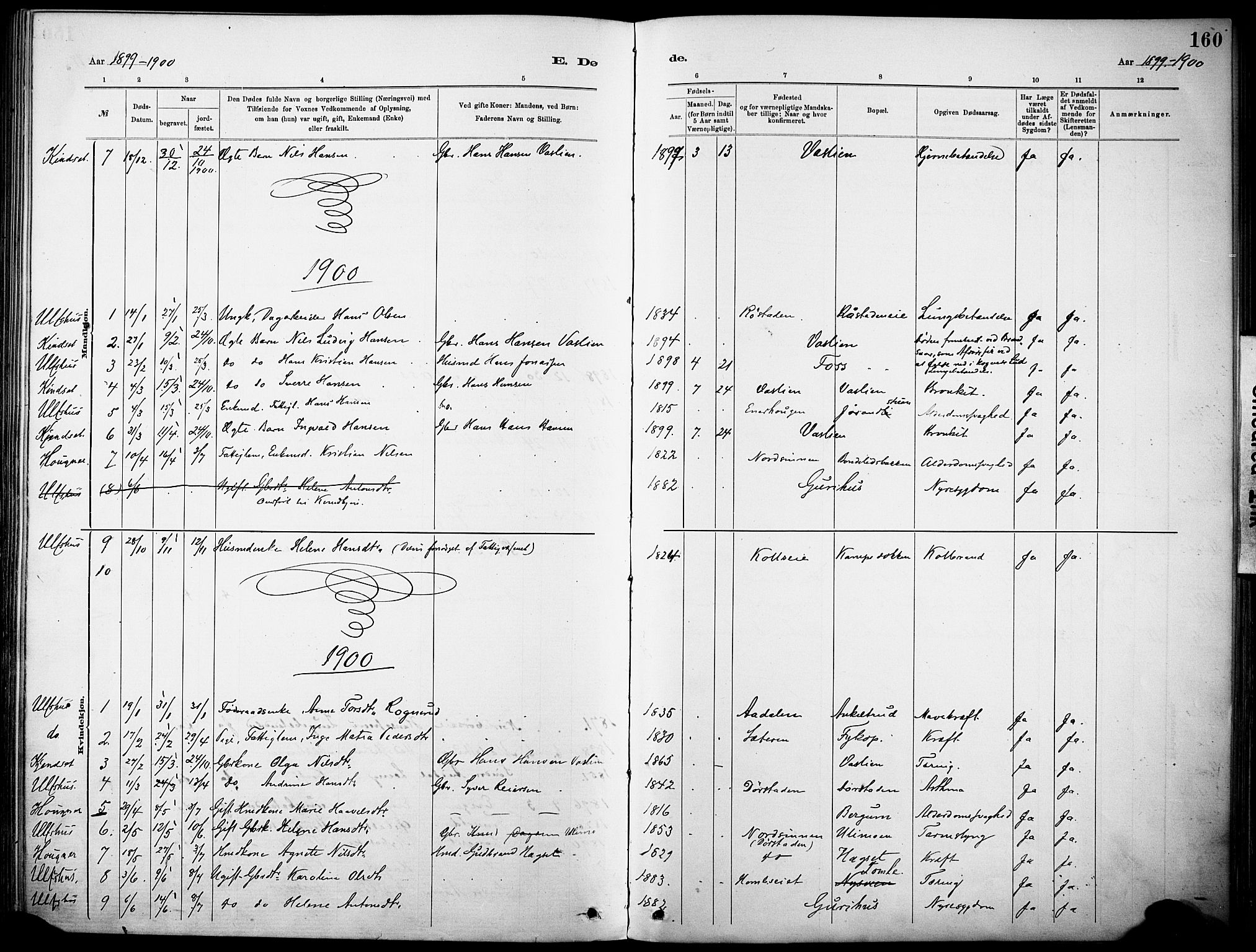 Nordre Land prestekontor, AV/SAH-PREST-124/H/Ha/Haa/L0005: Parish register (official) no. 5, 1882-1903, p. 160