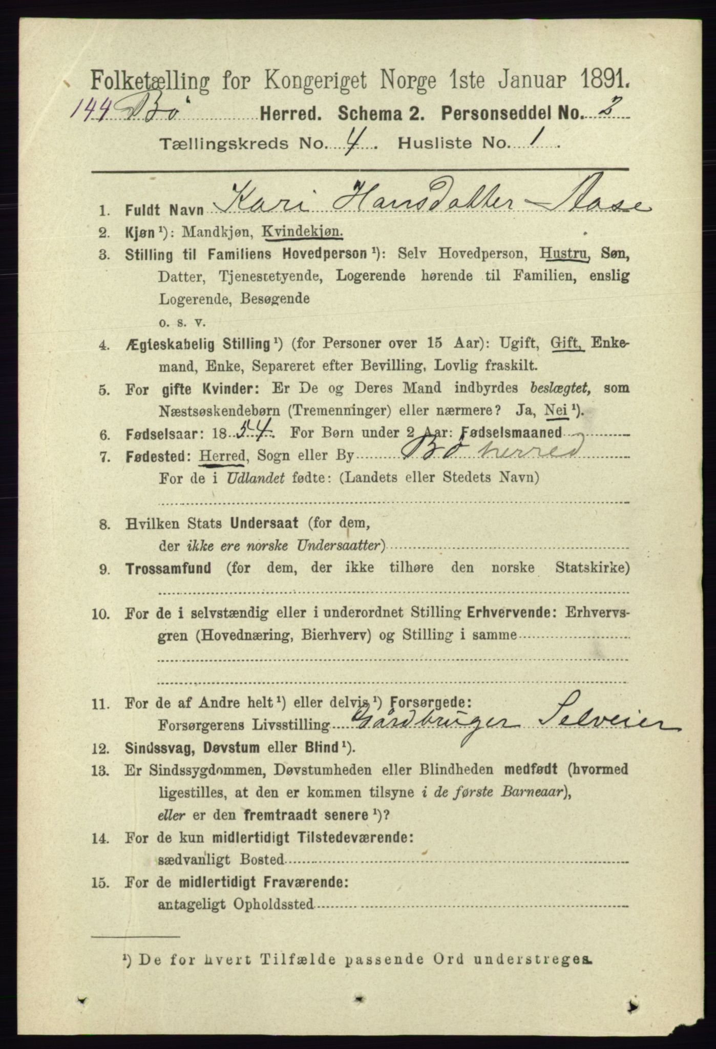 RA, 1891 census for 0821 Bø, 1891, p. 1225