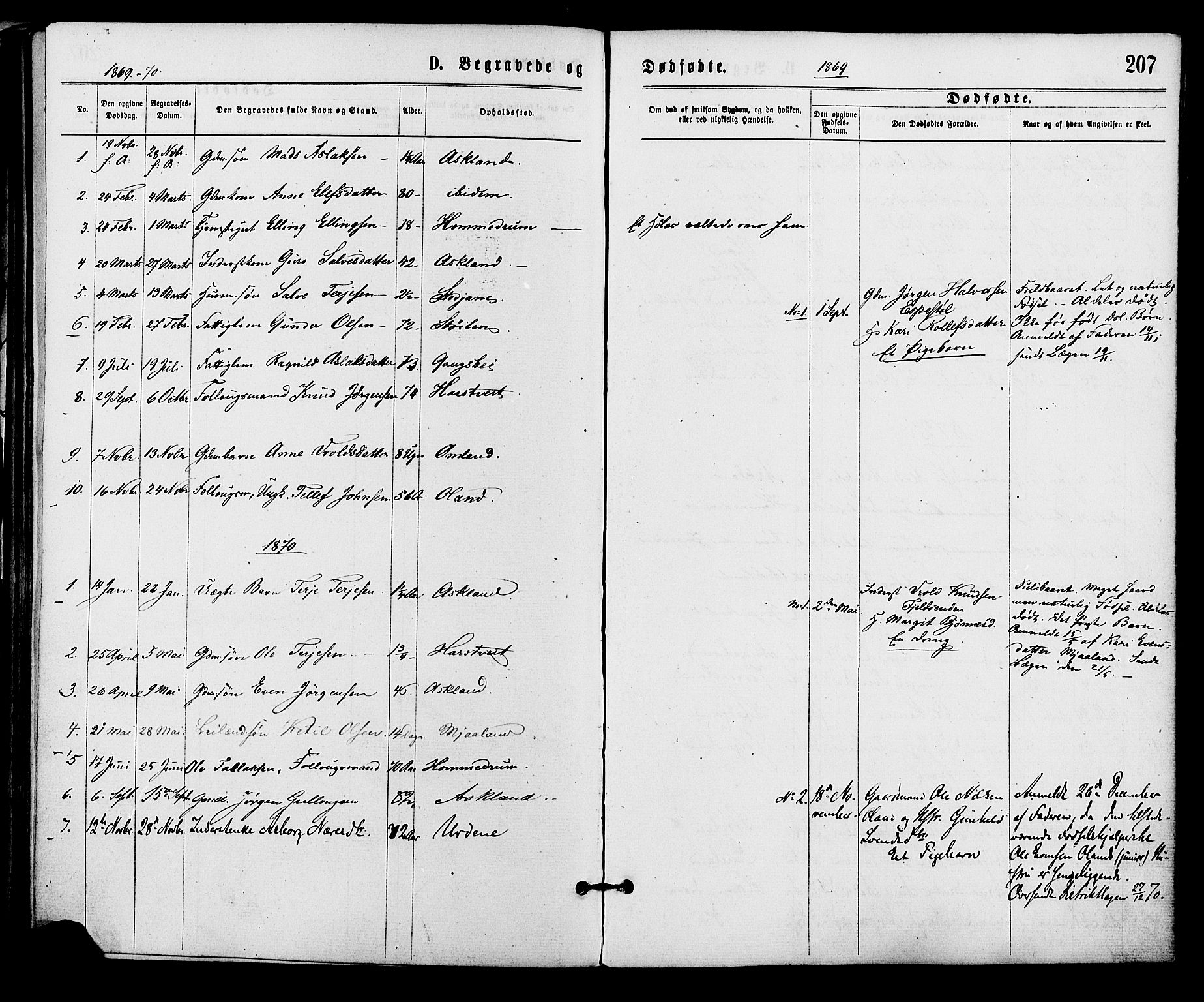 Åmli sokneprestkontor, SAK/1111-0050/F/Fa/Fac/L0009: Parish register (official) no. A 9 /2, 1869-1884, p. 207