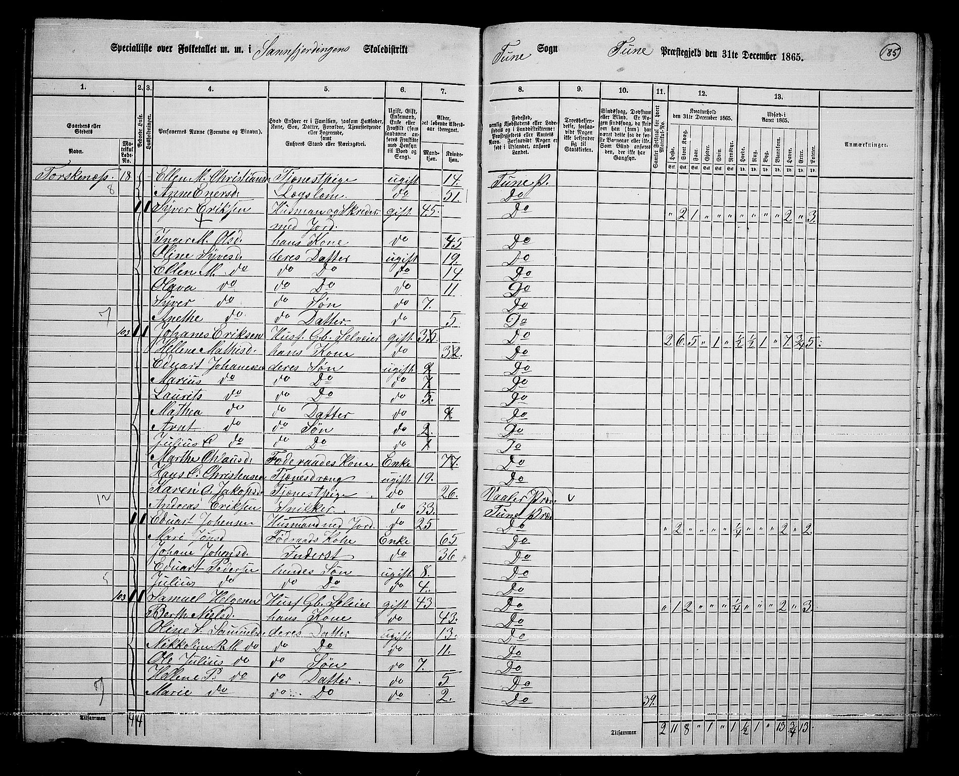 RA, 1865 census for Tune, 1865, p. 259