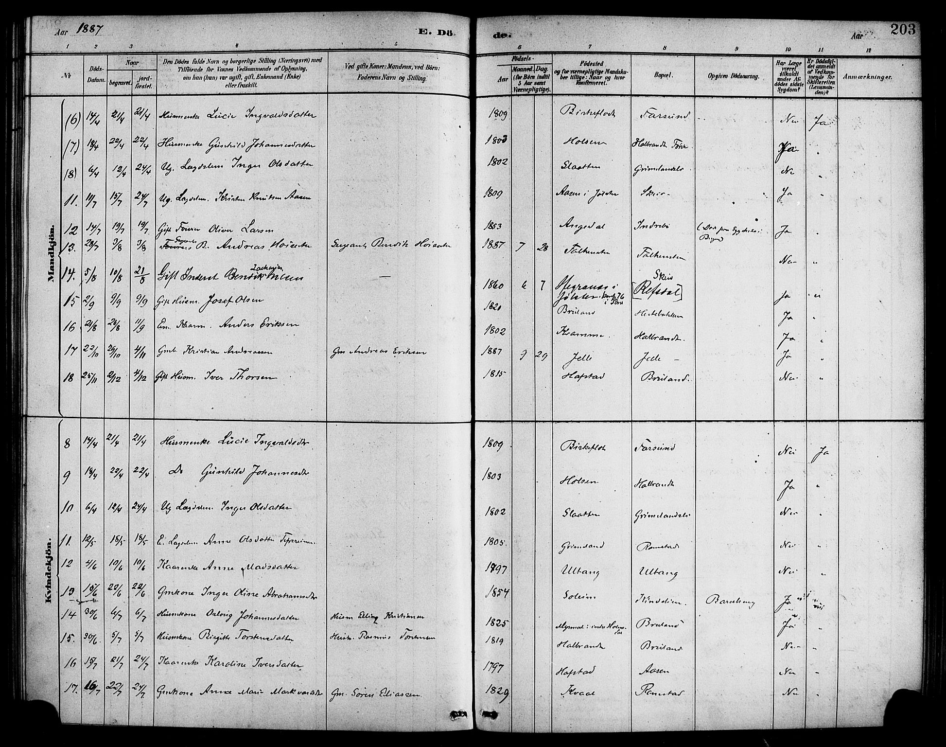 Førde sokneprestembete, AV/SAB-A-79901/H/Haa/Haab/L0001: Parish register (official) no. B 1, 1880-1898, p. 203