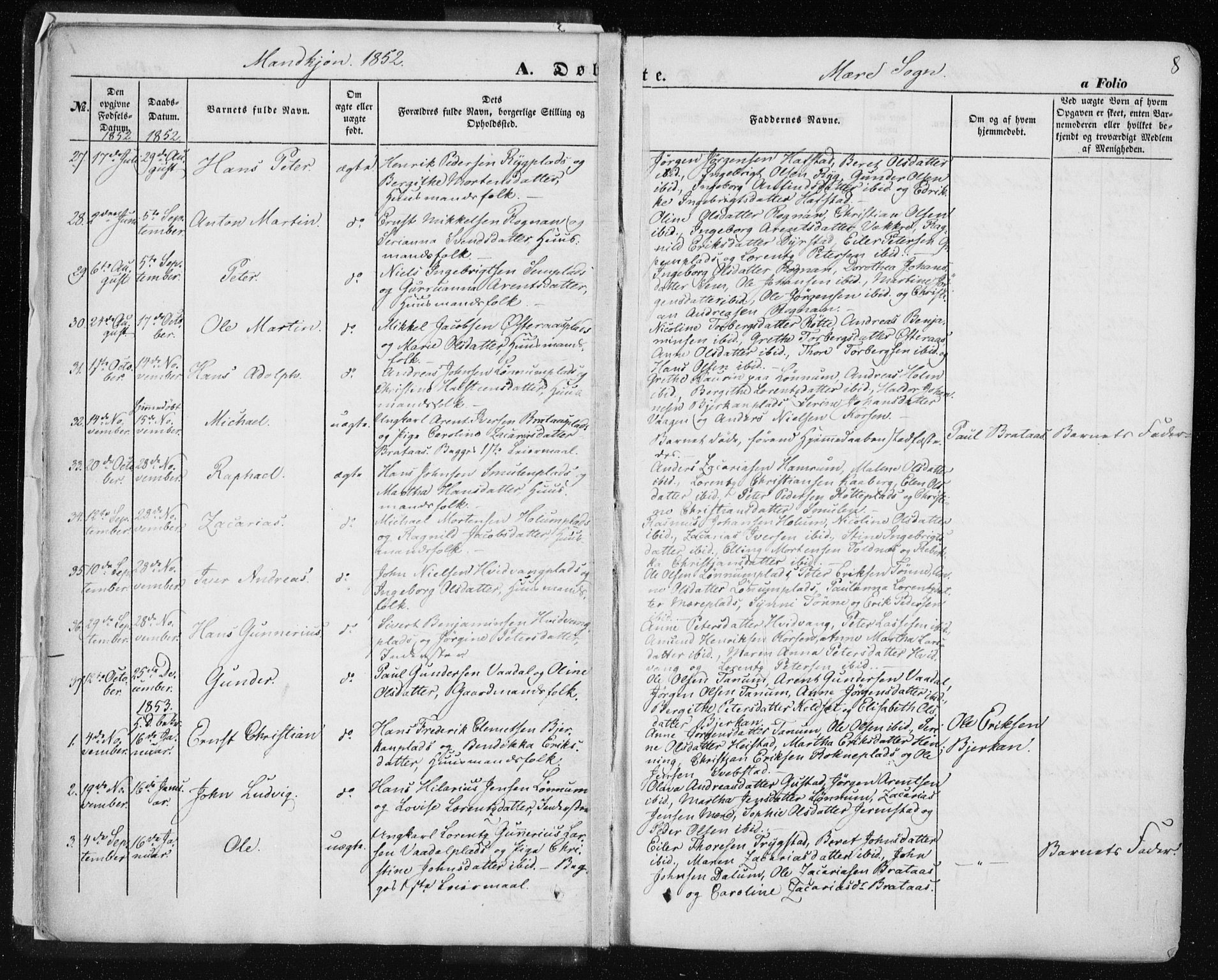 Ministerialprotokoller, klokkerbøker og fødselsregistre - Nord-Trøndelag, SAT/A-1458/735/L0342: Parish register (official) no. 735A07 /1, 1849-1862, p. 8