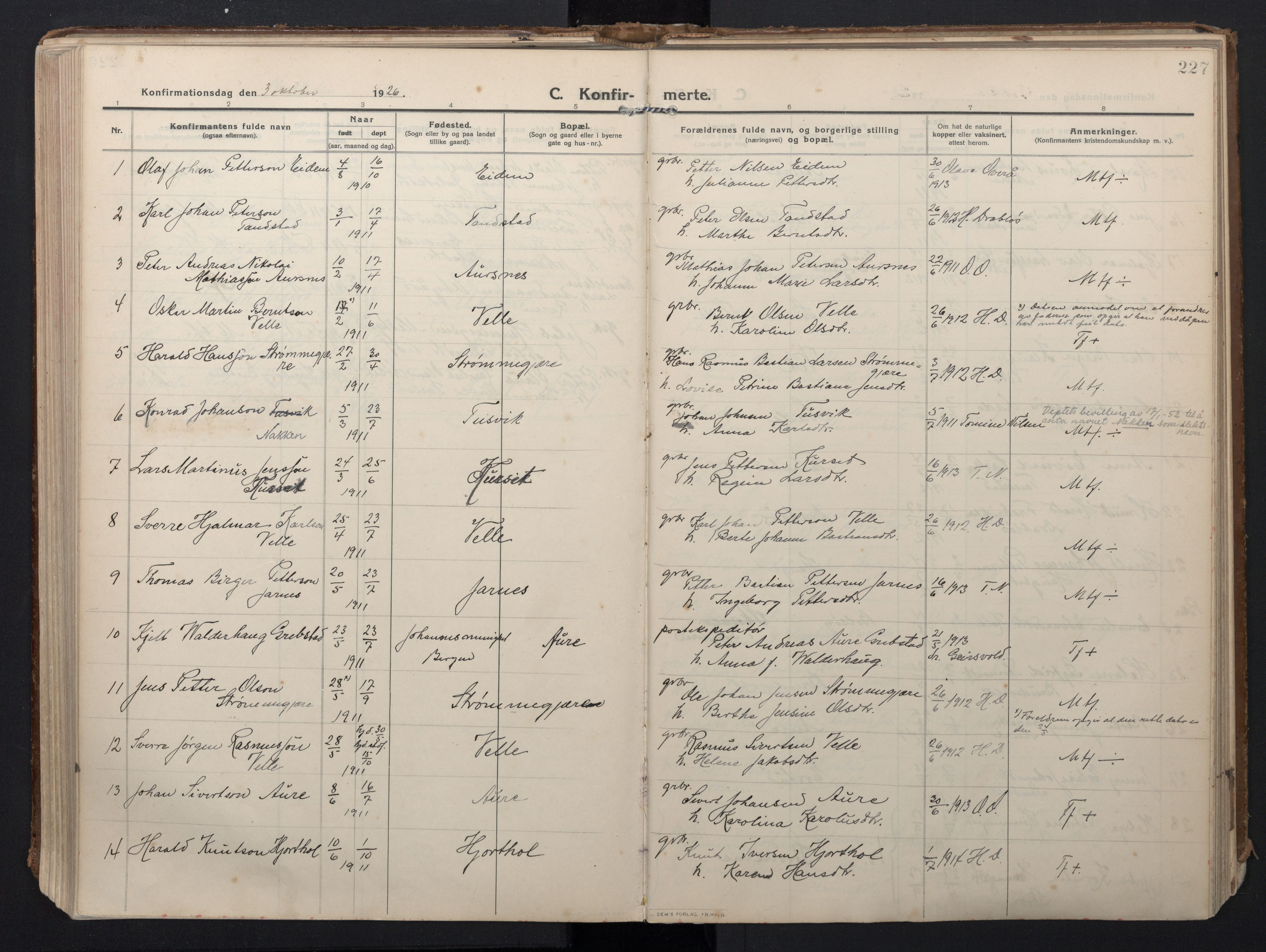 Ministerialprotokoller, klokkerbøker og fødselsregistre - Møre og Romsdal, AV/SAT-A-1454/523/L0337: Parish register (official) no. 523A04, 1911-1929, p. 227