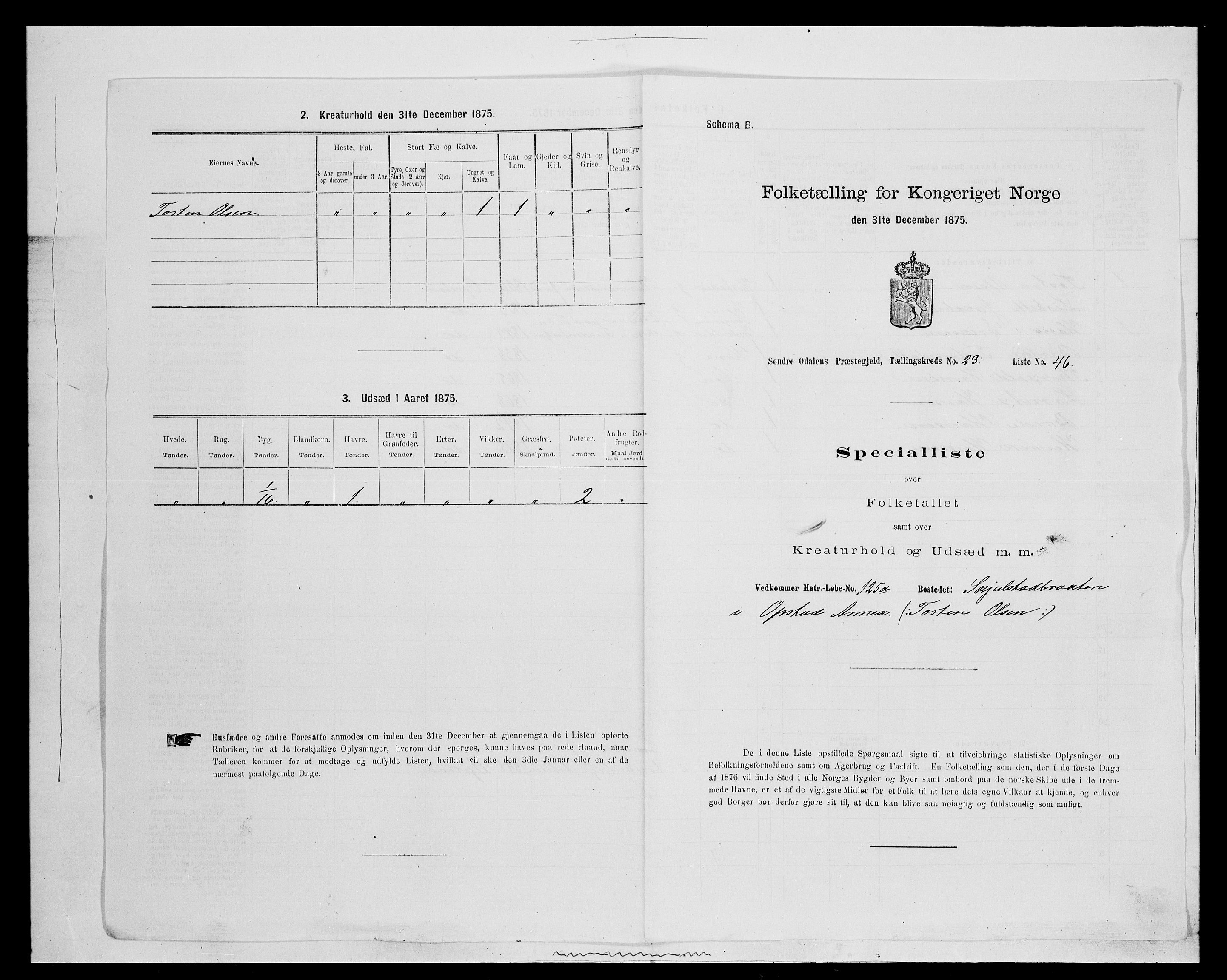 SAH, 1875 census for 0419P Sør-Odal, 1875, p. 2015