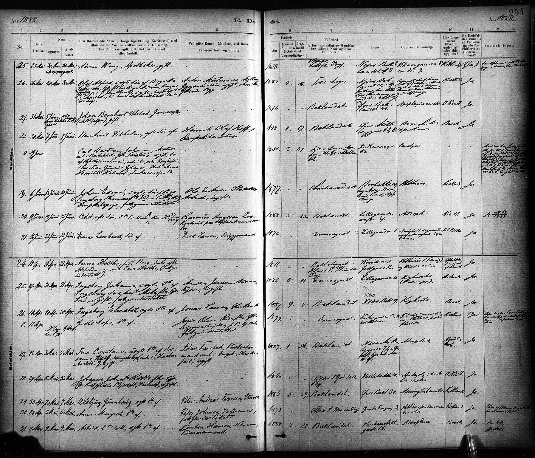 Ministerialprotokoller, klokkerbøker og fødselsregistre - Sør-Trøndelag, AV/SAT-A-1456/604/L0189: Parish register (official) no. 604A10, 1878-1892, p. 254