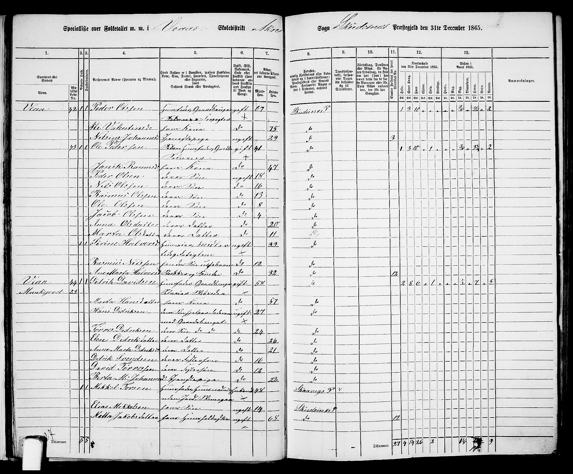 RA, 1865 census for Skudenes, 1865, p. 28