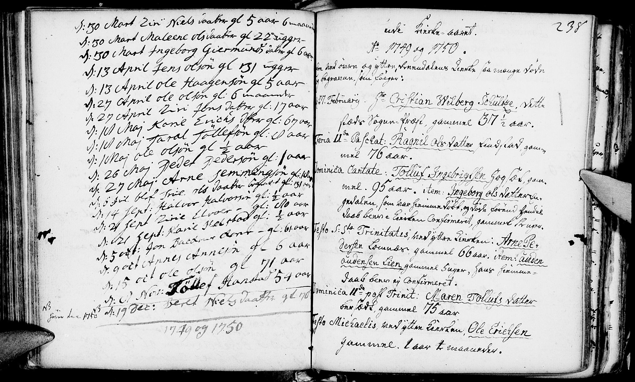 Rendalen prestekontor, SAH/PREST-054/H/Ha/Haa/L0001: Parish register (official) no. 1, 1733-1787, p. 238