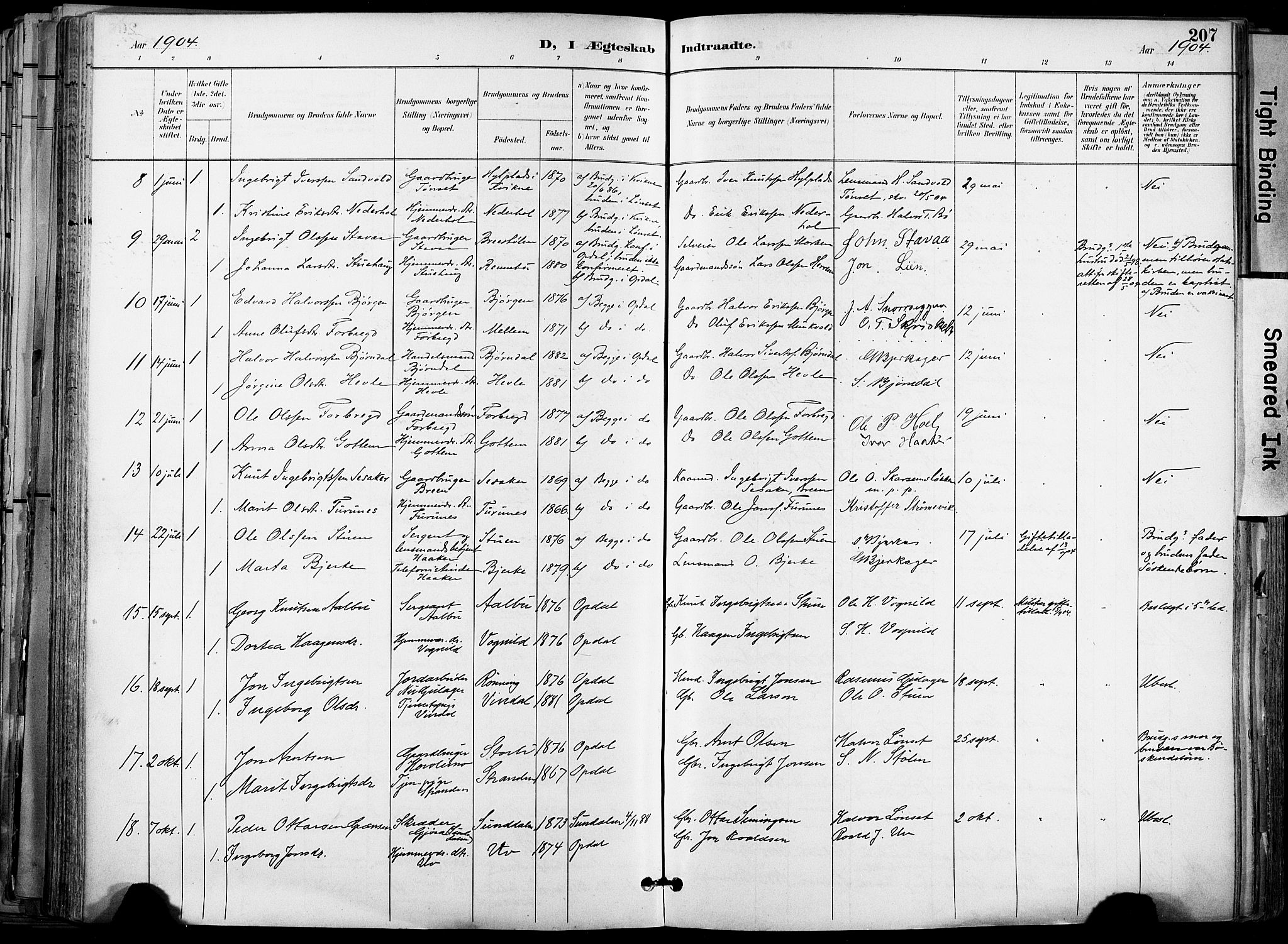 Ministerialprotokoller, klokkerbøker og fødselsregistre - Sør-Trøndelag, SAT/A-1456/678/L0902: Parish register (official) no. 678A11, 1895-1911, p. 207